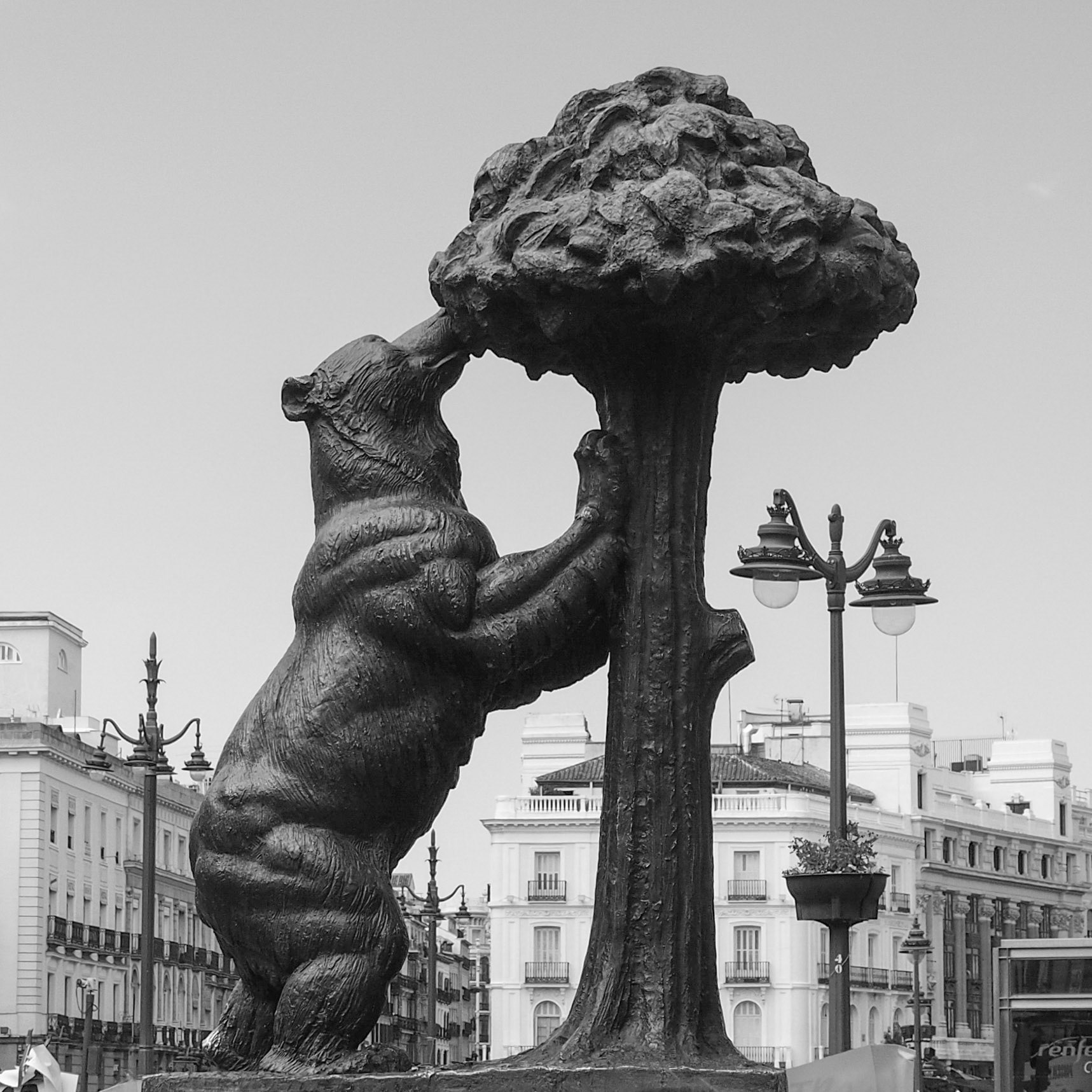 El Oso y el Madroño, Madrid, ©2015 Dirk Banda