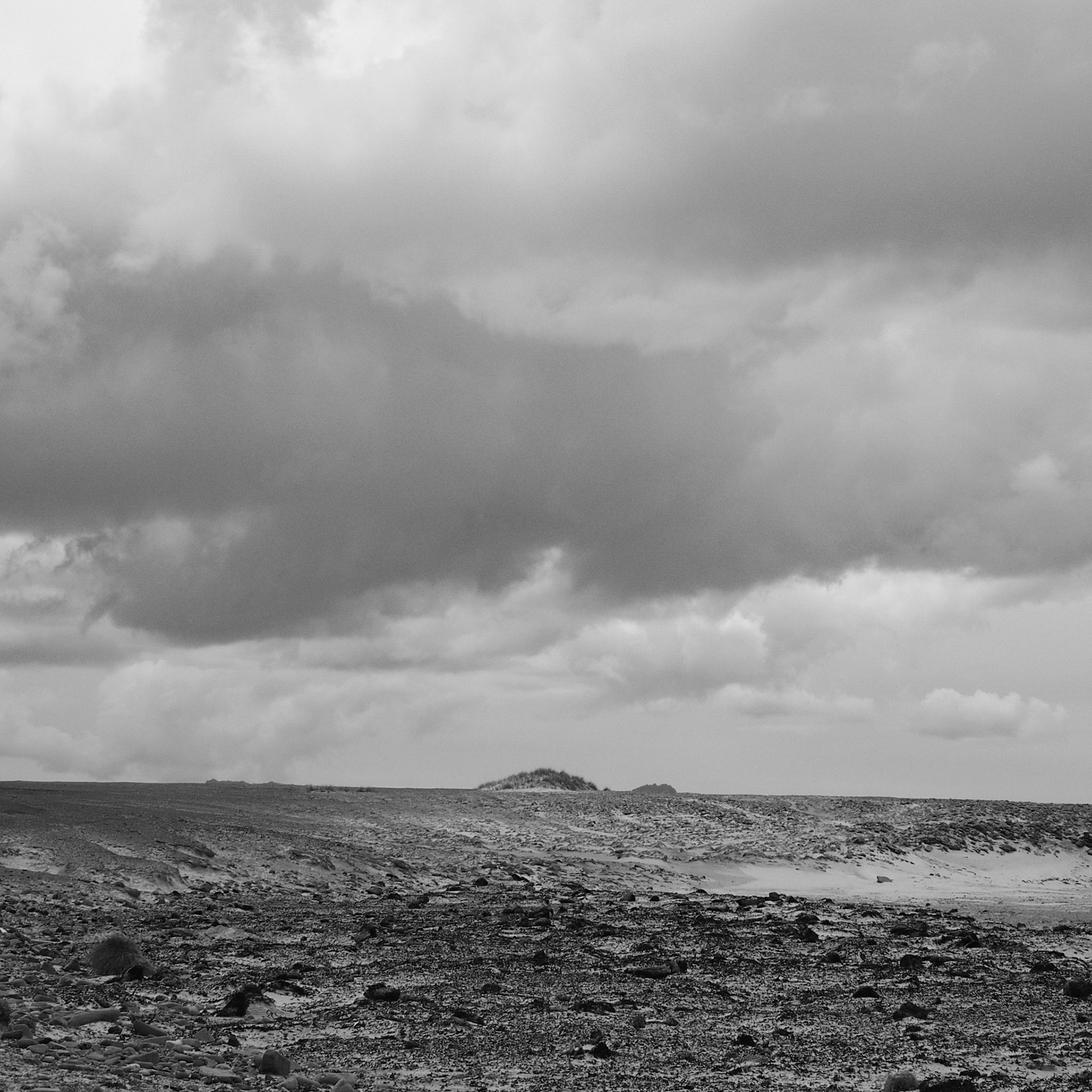 Falkland Islands (Islas Malvinas), ©2019 Dirk Banda
