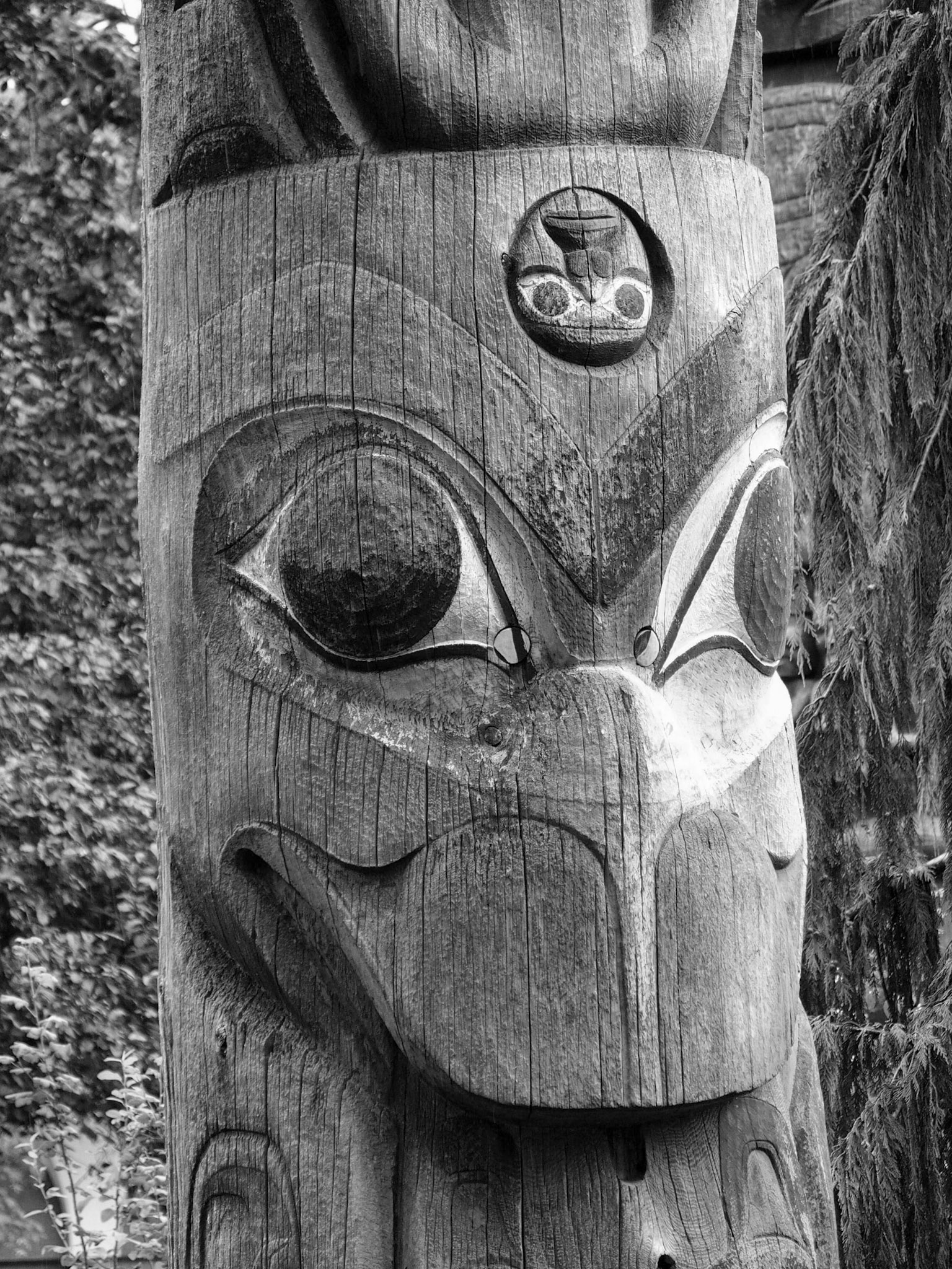 Victoria, BC, ©2016 Dirk Banda