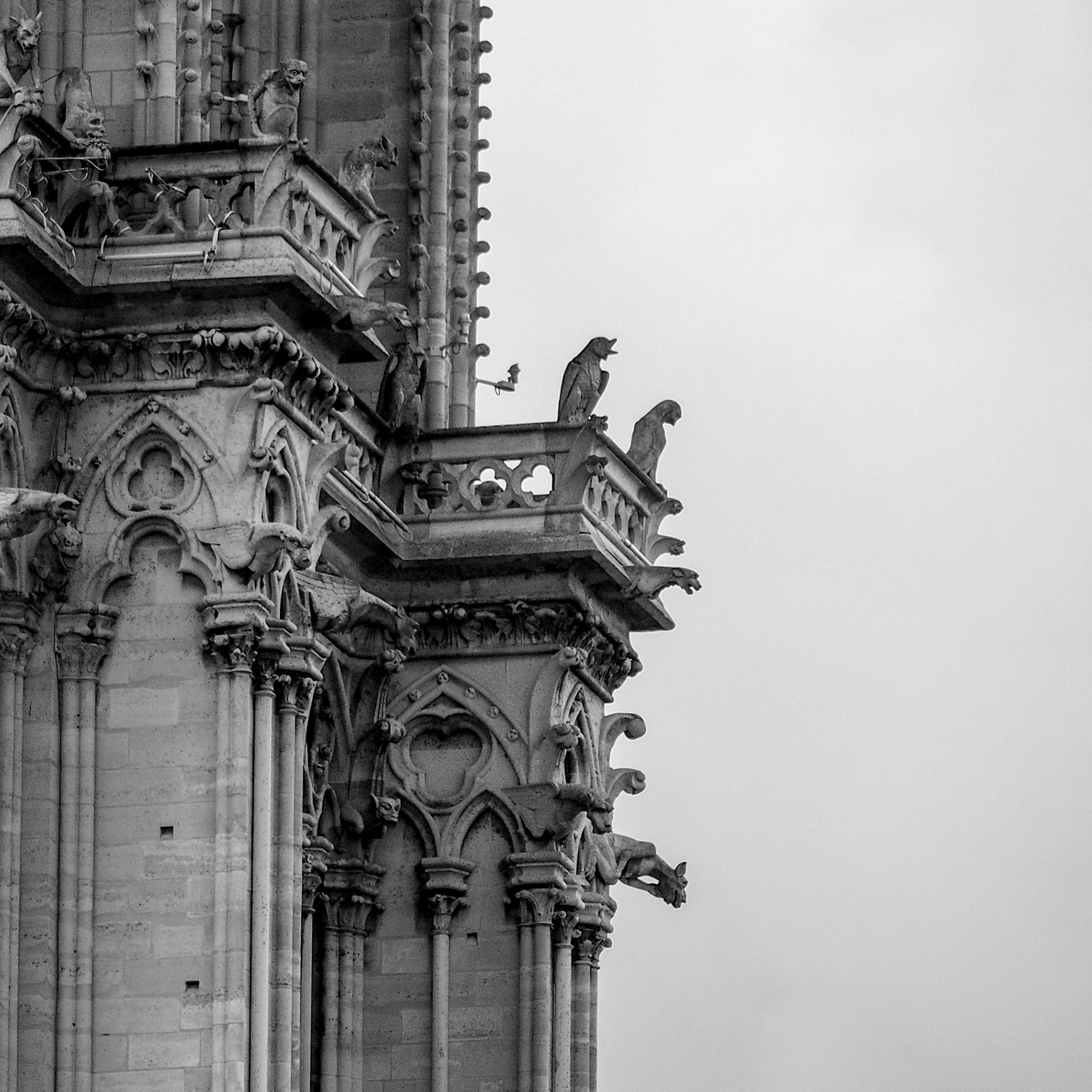 Gargoyles Notre-Dame, Paris, ©2015 Dirk Banda