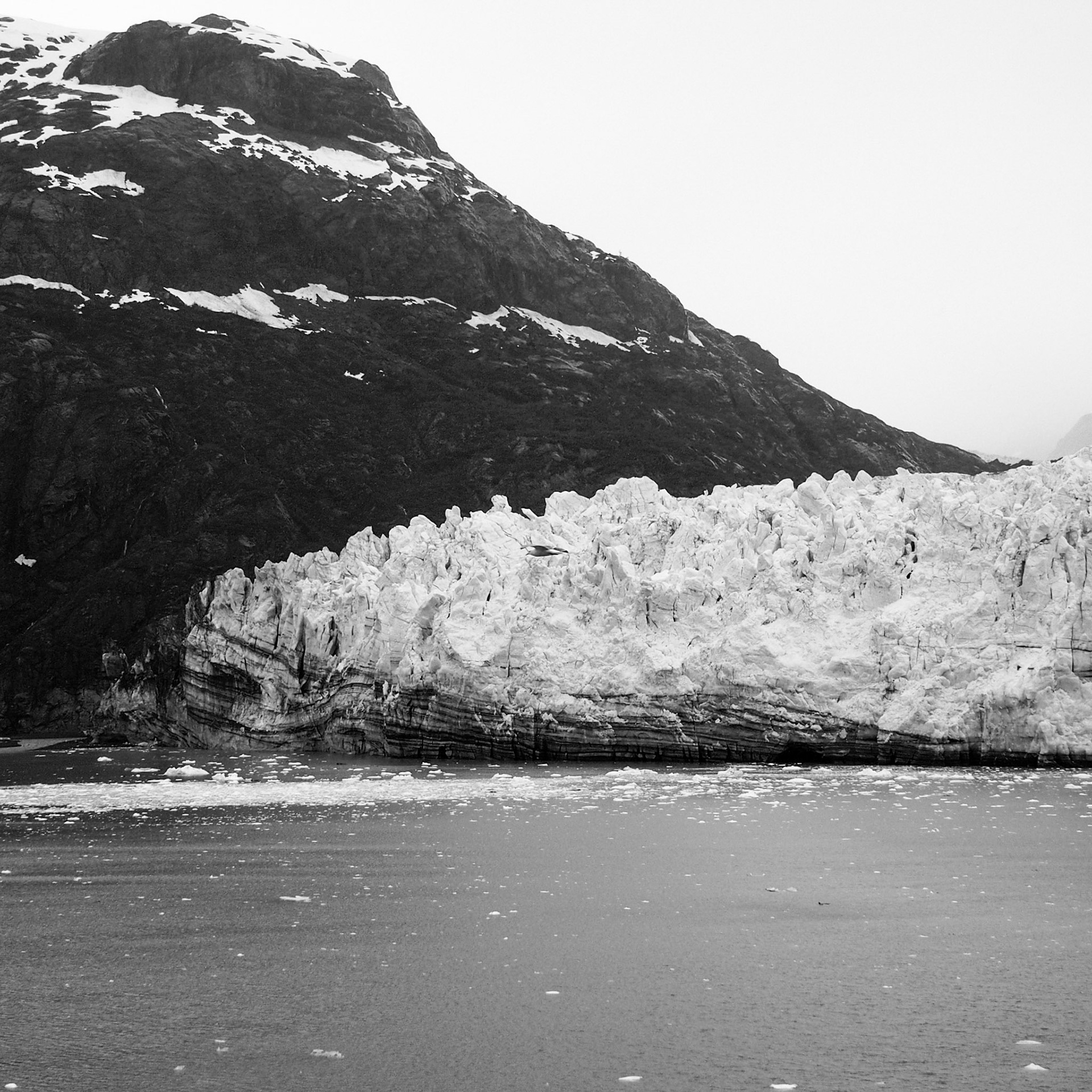 Glacier Bay, ©2016 Dirk Banda