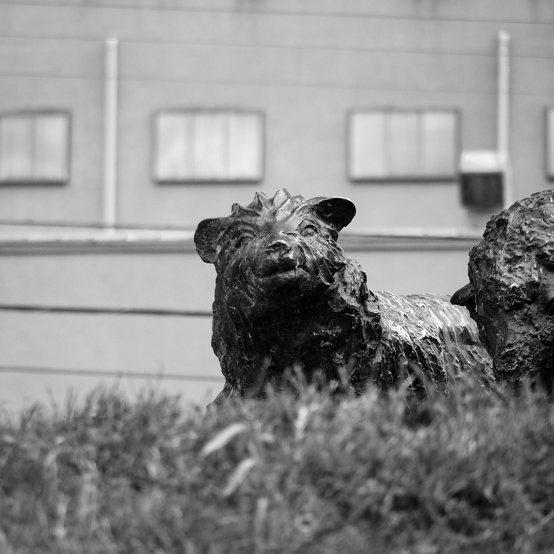 Punta Arenas, ©2019 Dirk Banda