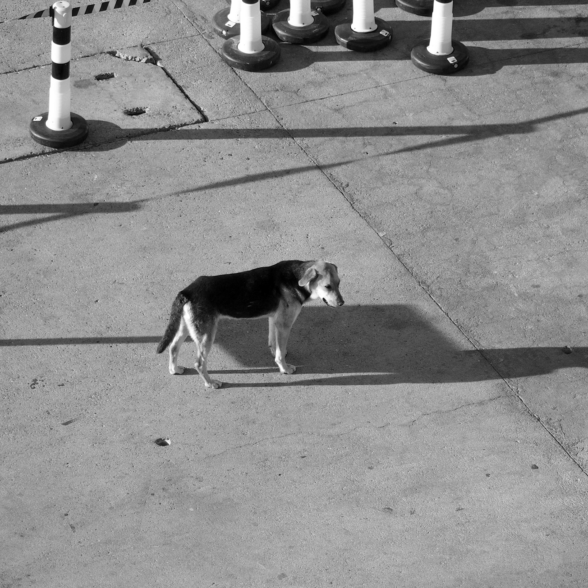 Puerto Madryn, ©2019 Dirk Banda