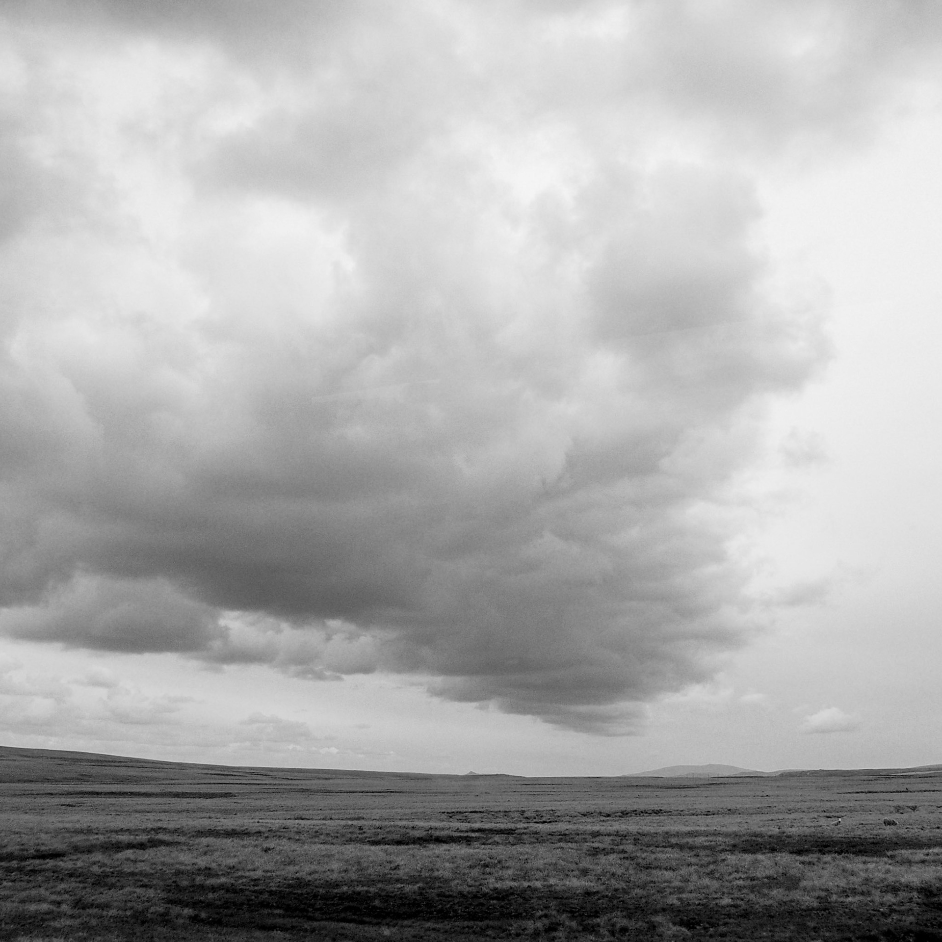 Falkland Islands (Islas Malvinas), ©2019 Dirk Banda