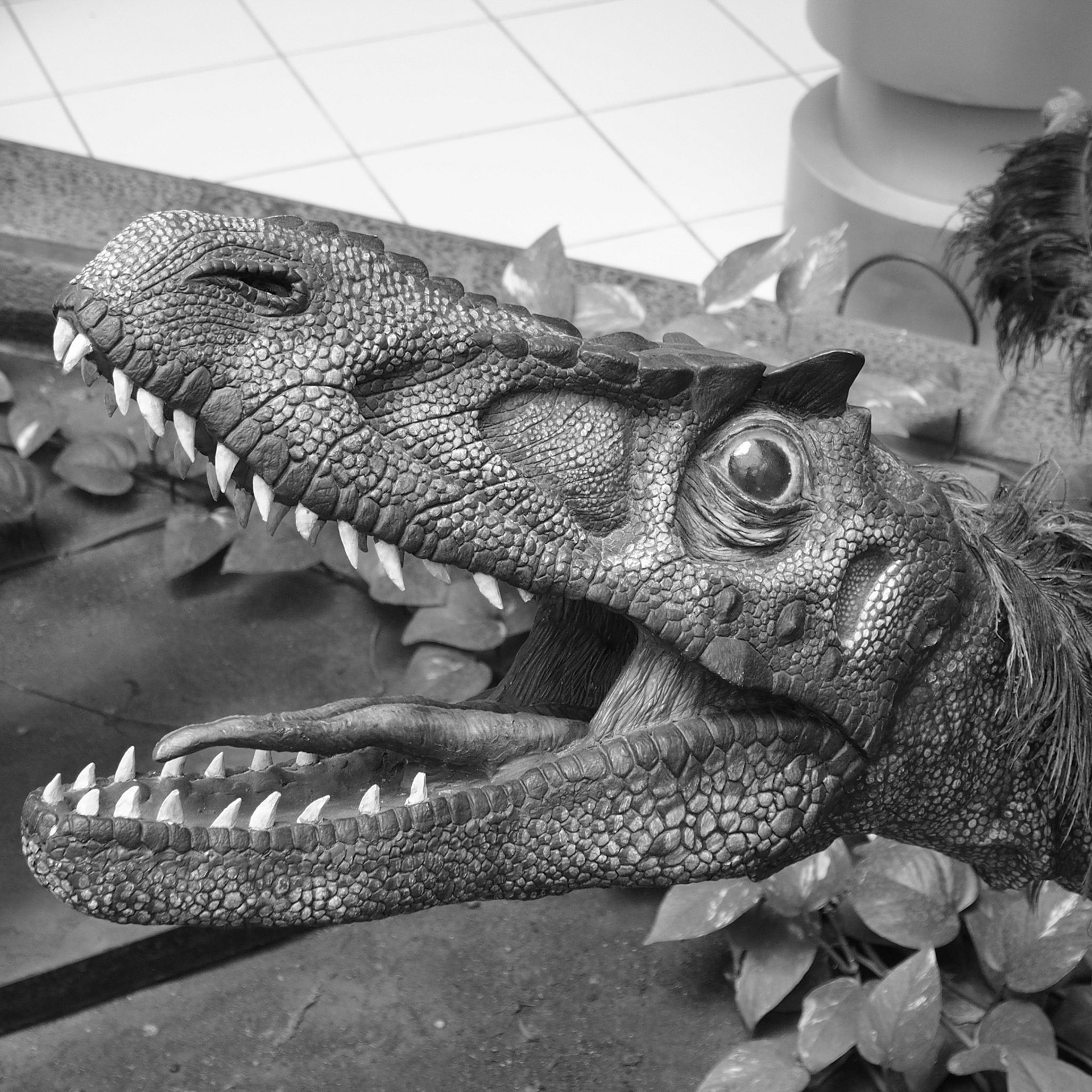 Trelew, ©2019 Dirk Banda