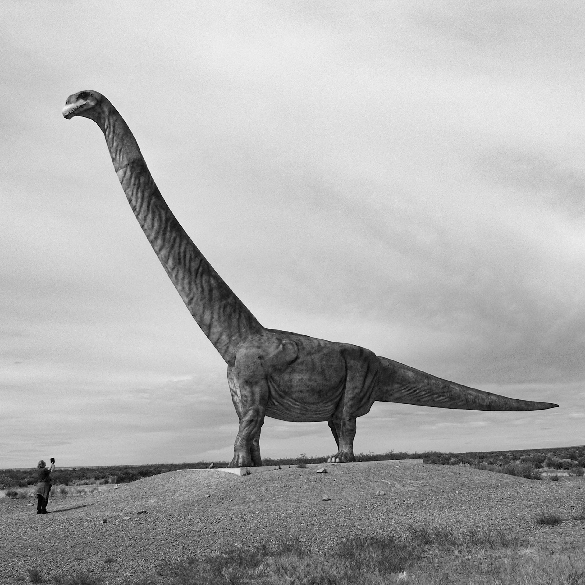 Trelew, ©2019 Dirk Banda