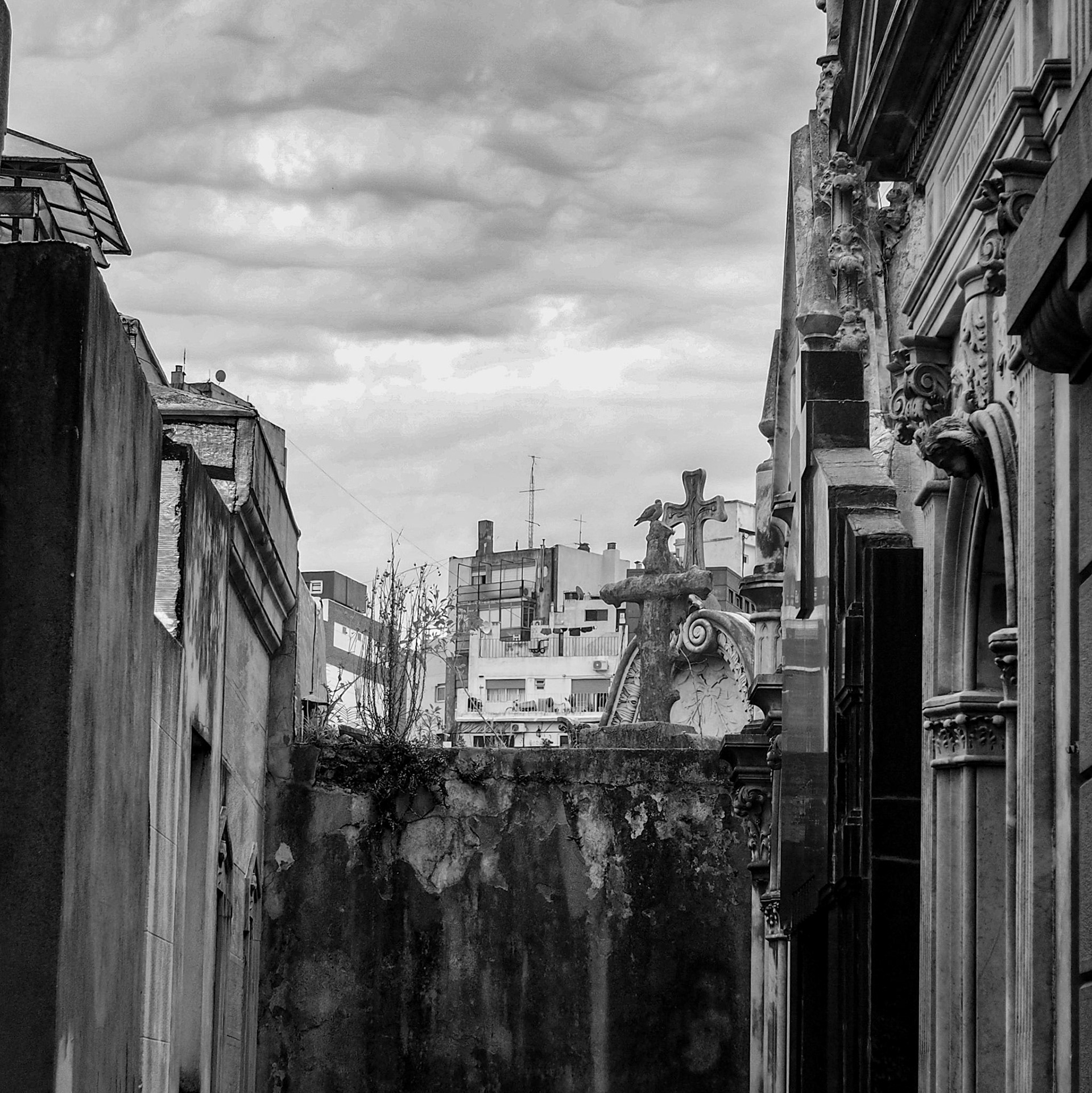 Buenos Aires