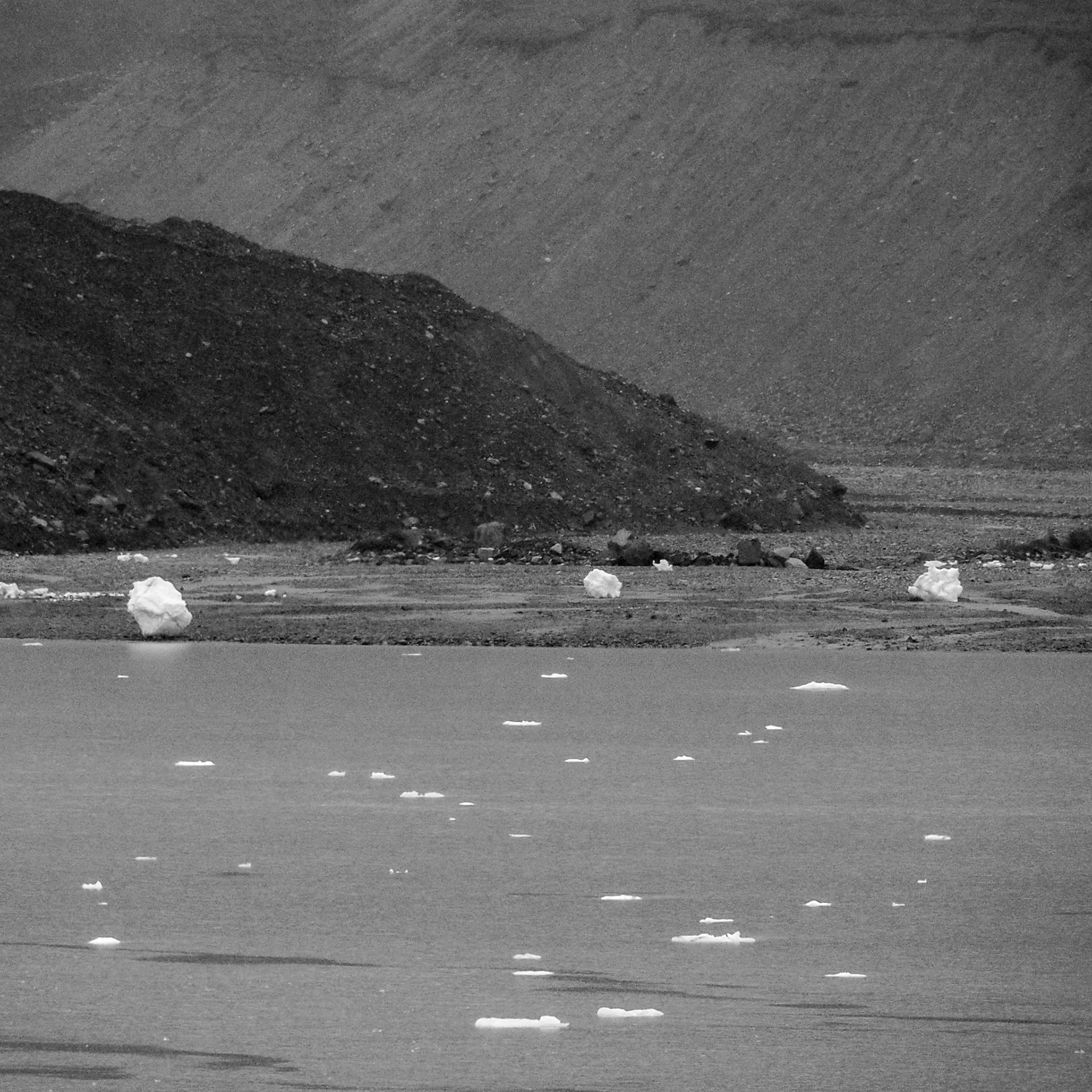 Glacier Bay, ©2016 Dirk Banda