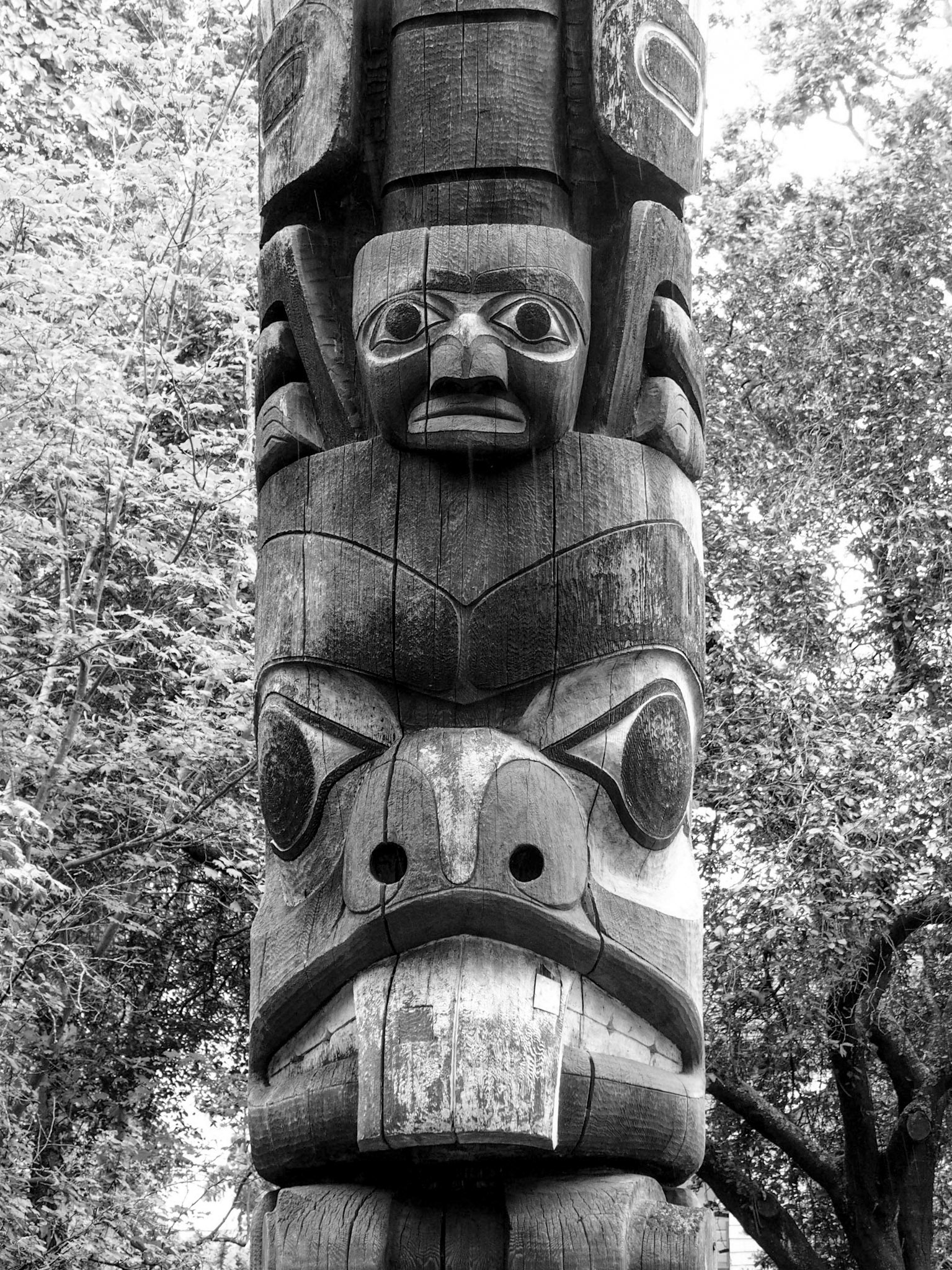 Victoria, BC, ©2016 Dirk Banda