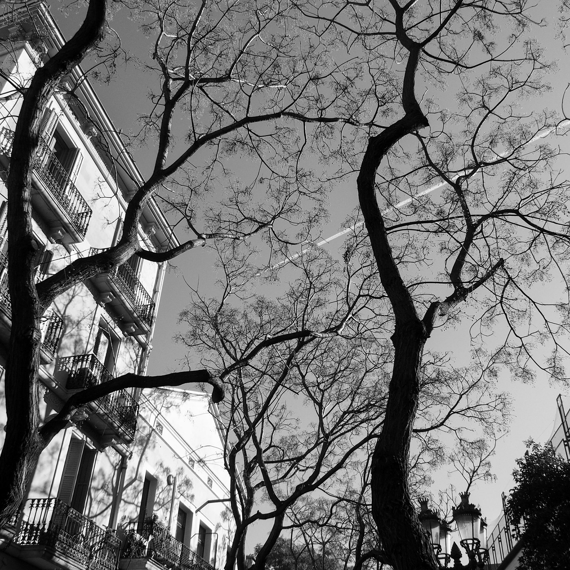 Barcelona, ©2019 Dirk Banda