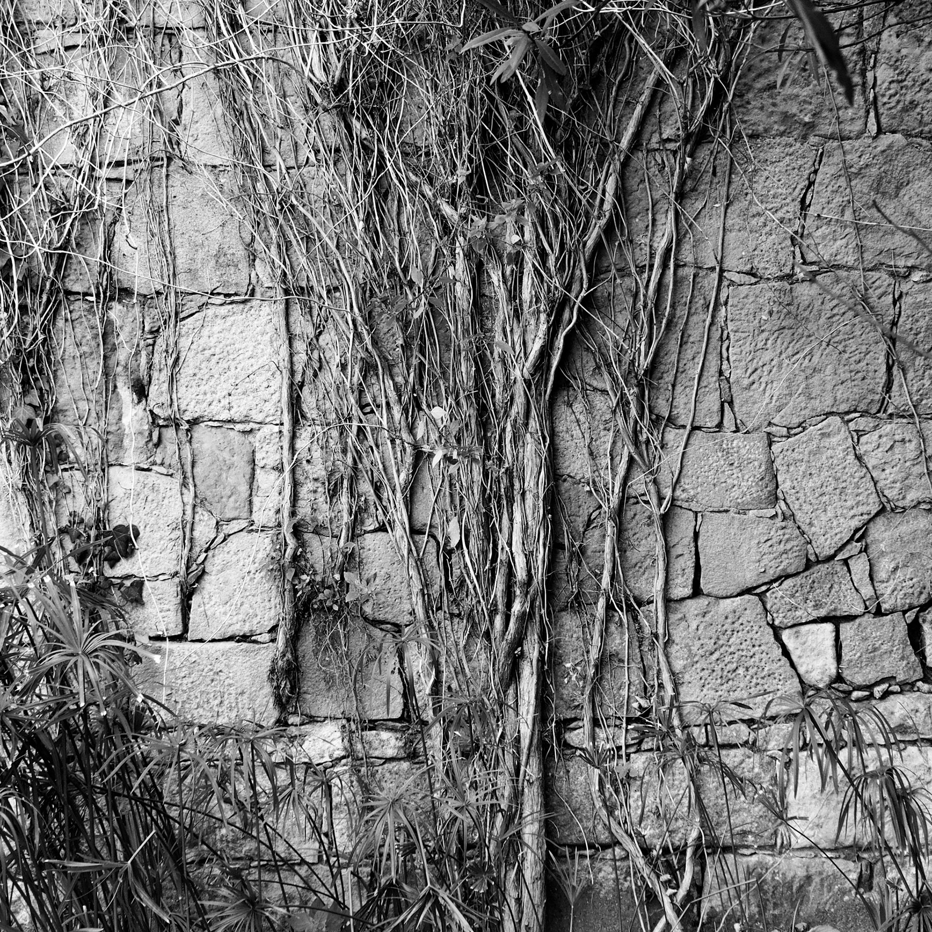 Barcelona, ©2019 Dirk Banda