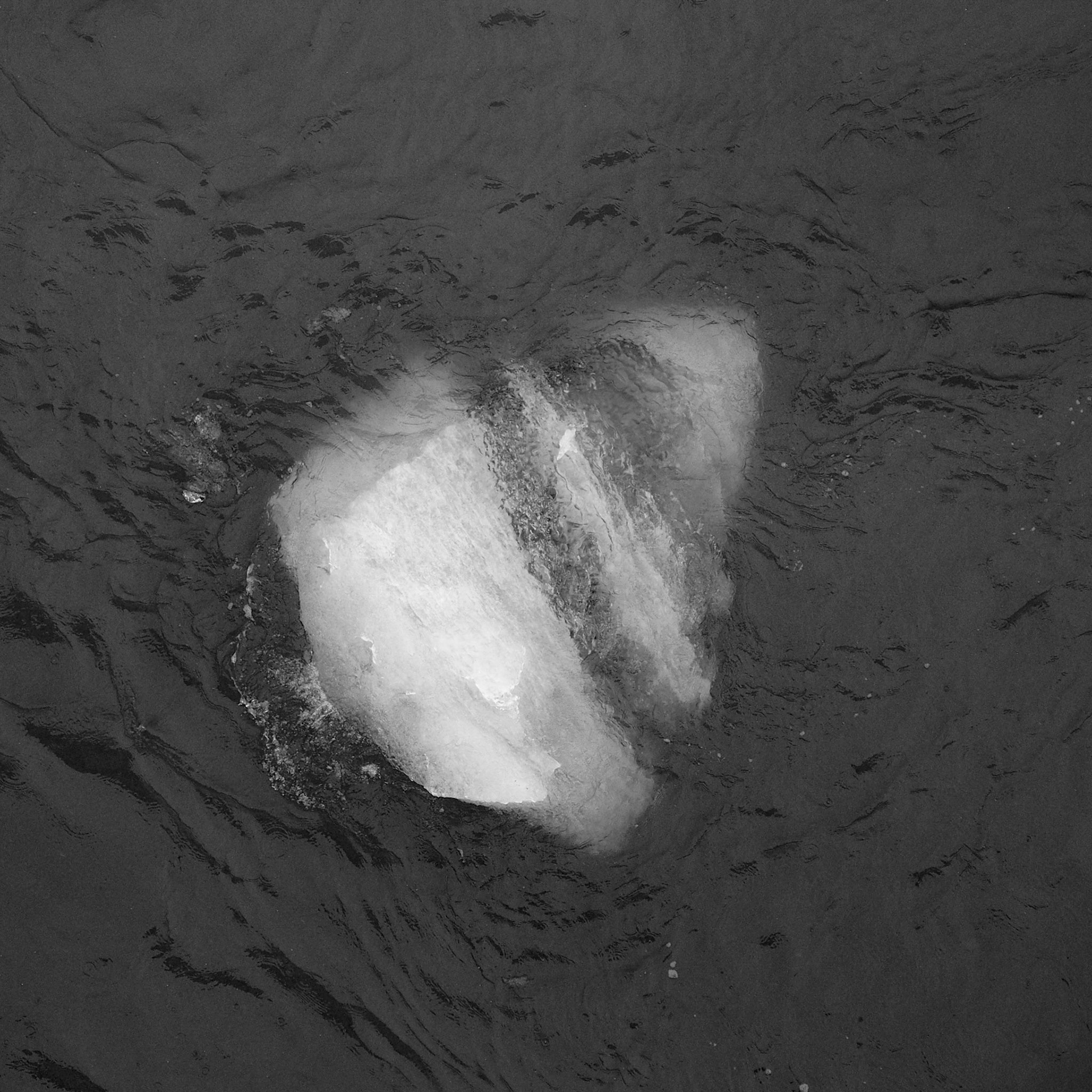 Amalia Glacier, ©2019 Dirk Banda