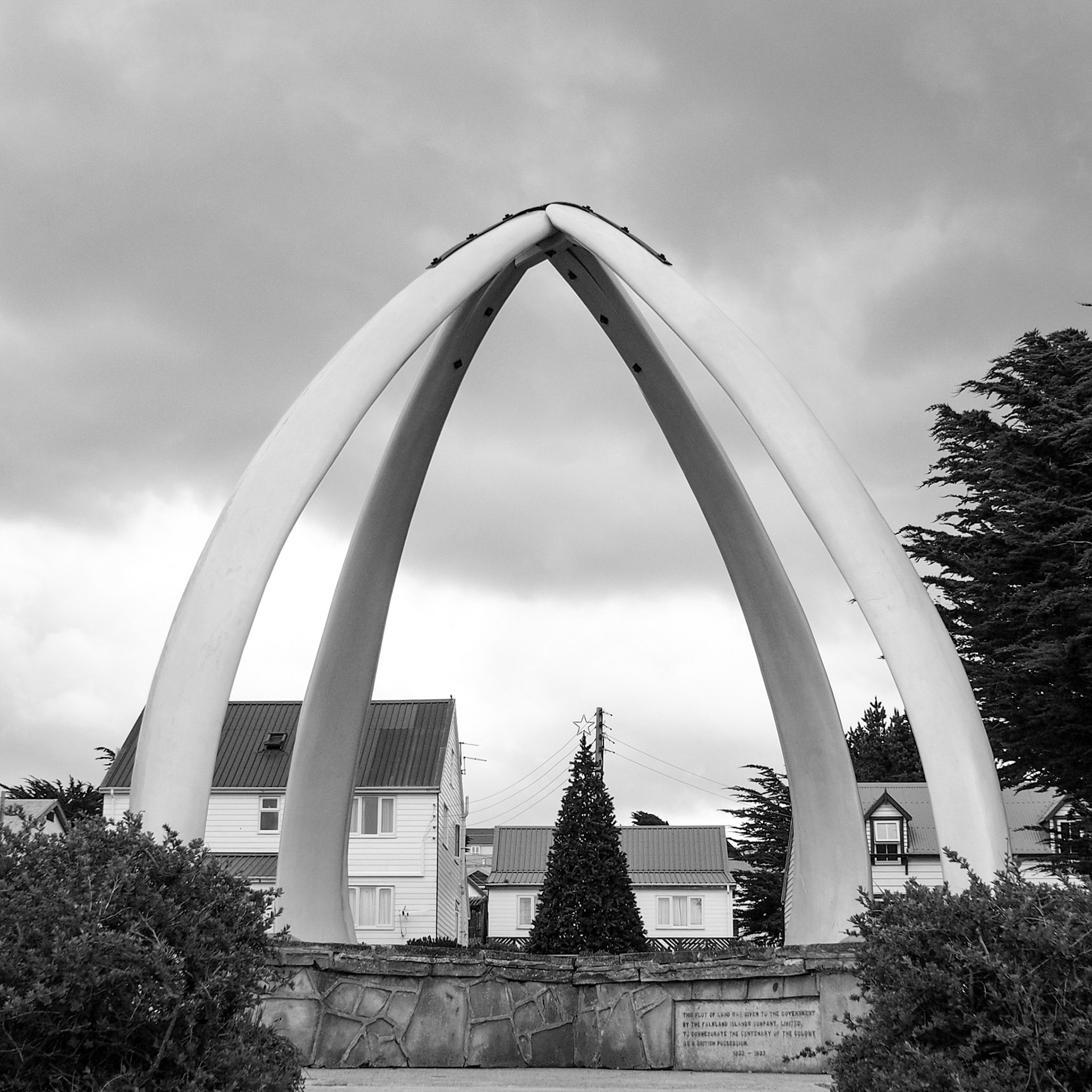 Falkland Islands (Islas Malvinas), ©2019 Dirk Banda