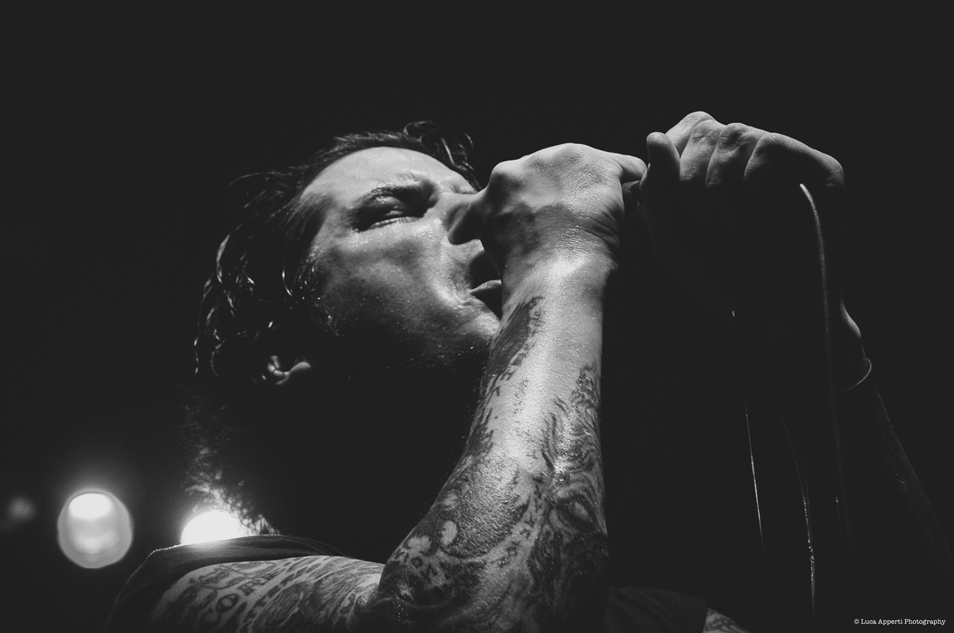 Phil Anselmo Down 2006