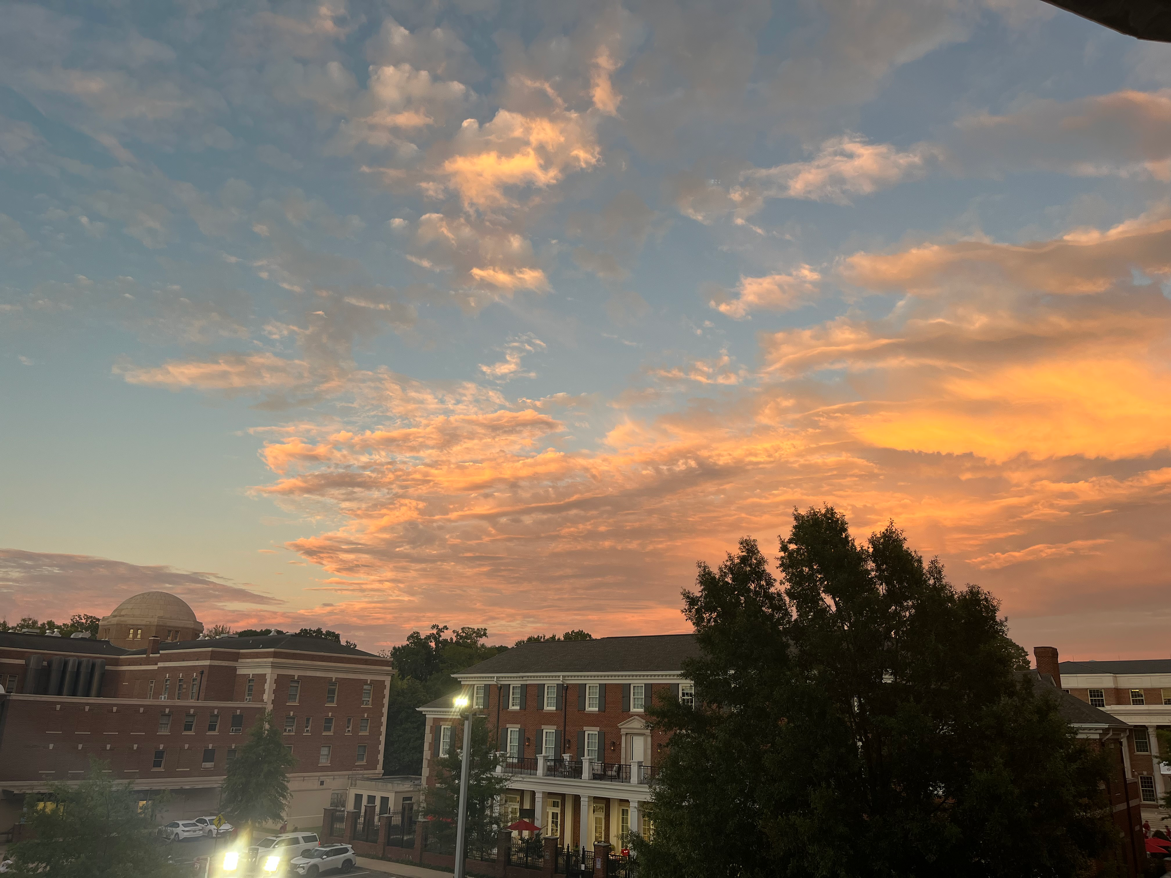 This is just a nice photo I took one time.