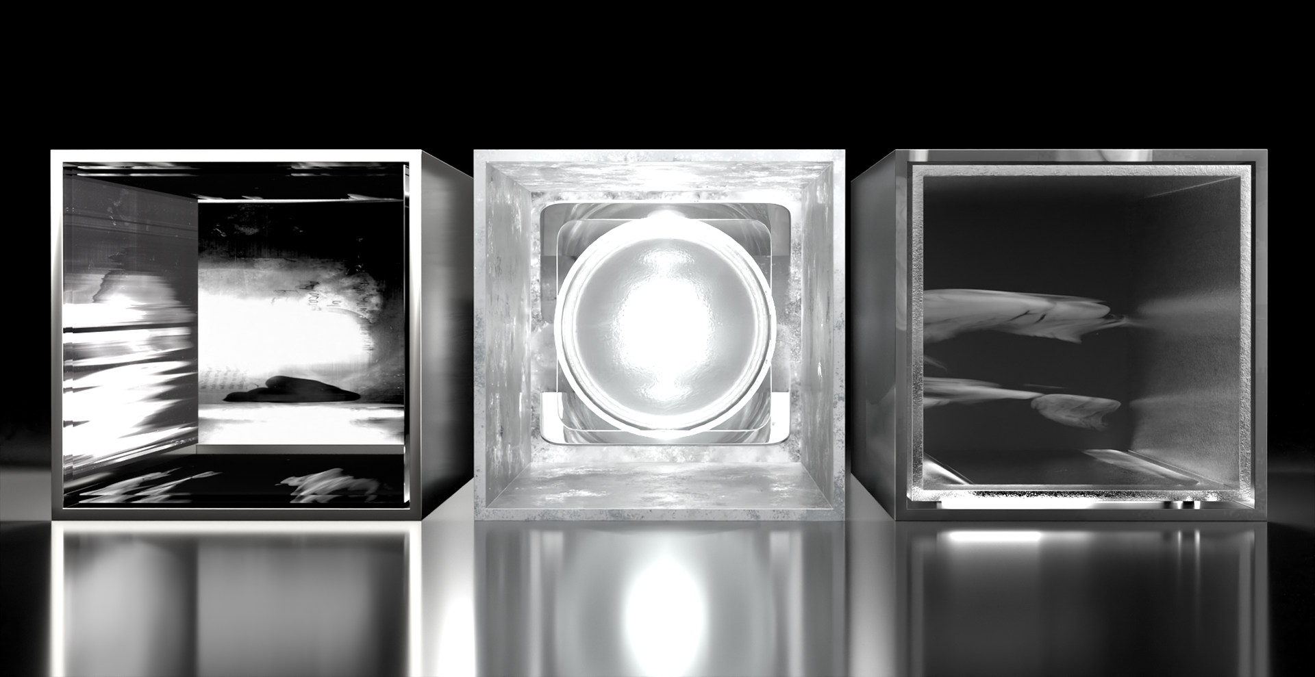 Section of all three light box gallery rooms