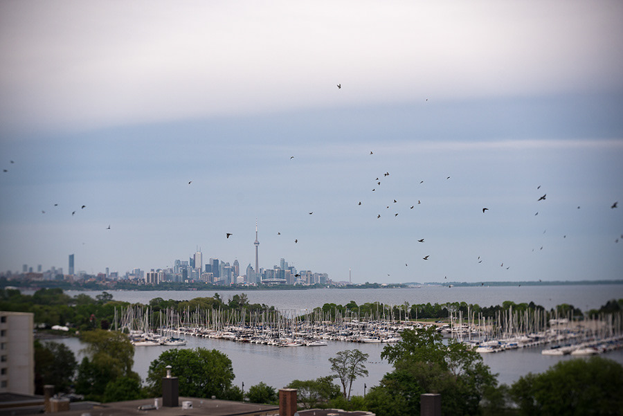 The Toronto skyline photographed with the Lensbaby Twist 60