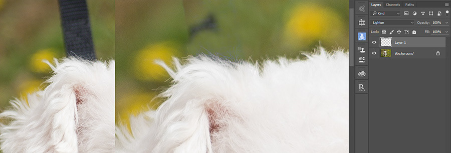 Using the Lighten Blend mode in Photoshop to mask around white fur