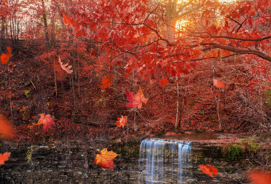 Tew's Falls in Ontario, with red autumn leaves
