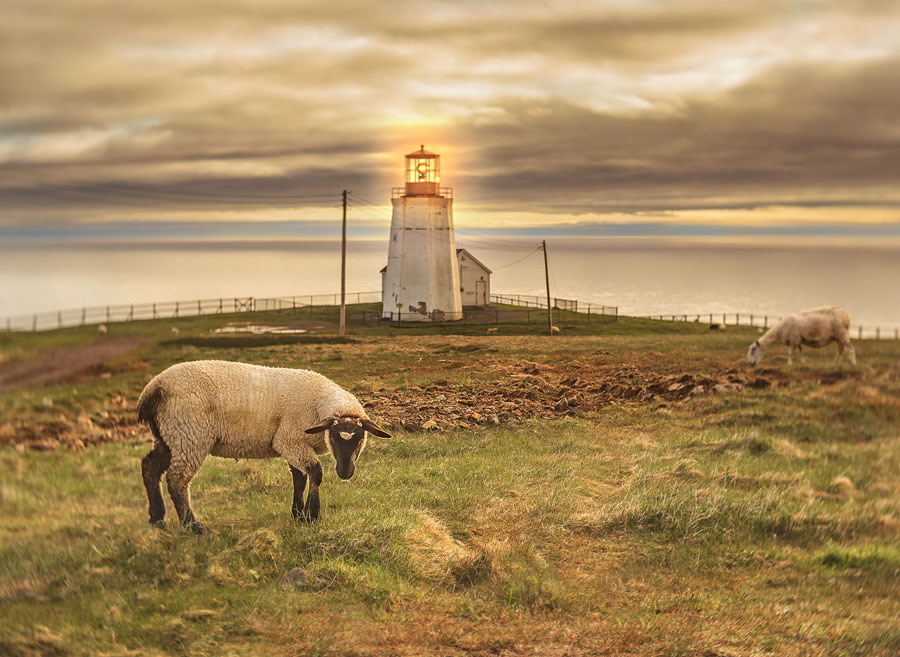 Using blend modes in Ps to create a glowing light effect