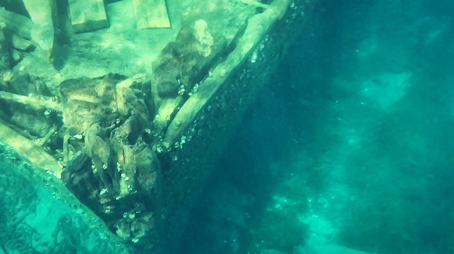 Snorkeling shipwrecks in Tobermory with my phone in an underwater case.