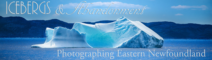 An iceberg photographed in Twillingate, Newfoundland