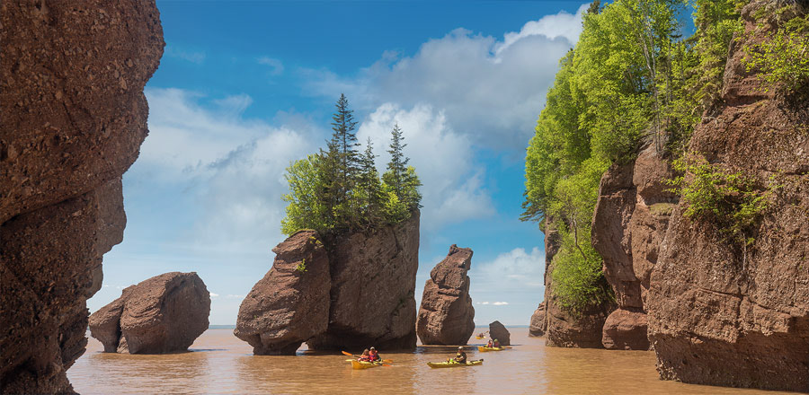 The Hopewell Rocks at High Tide