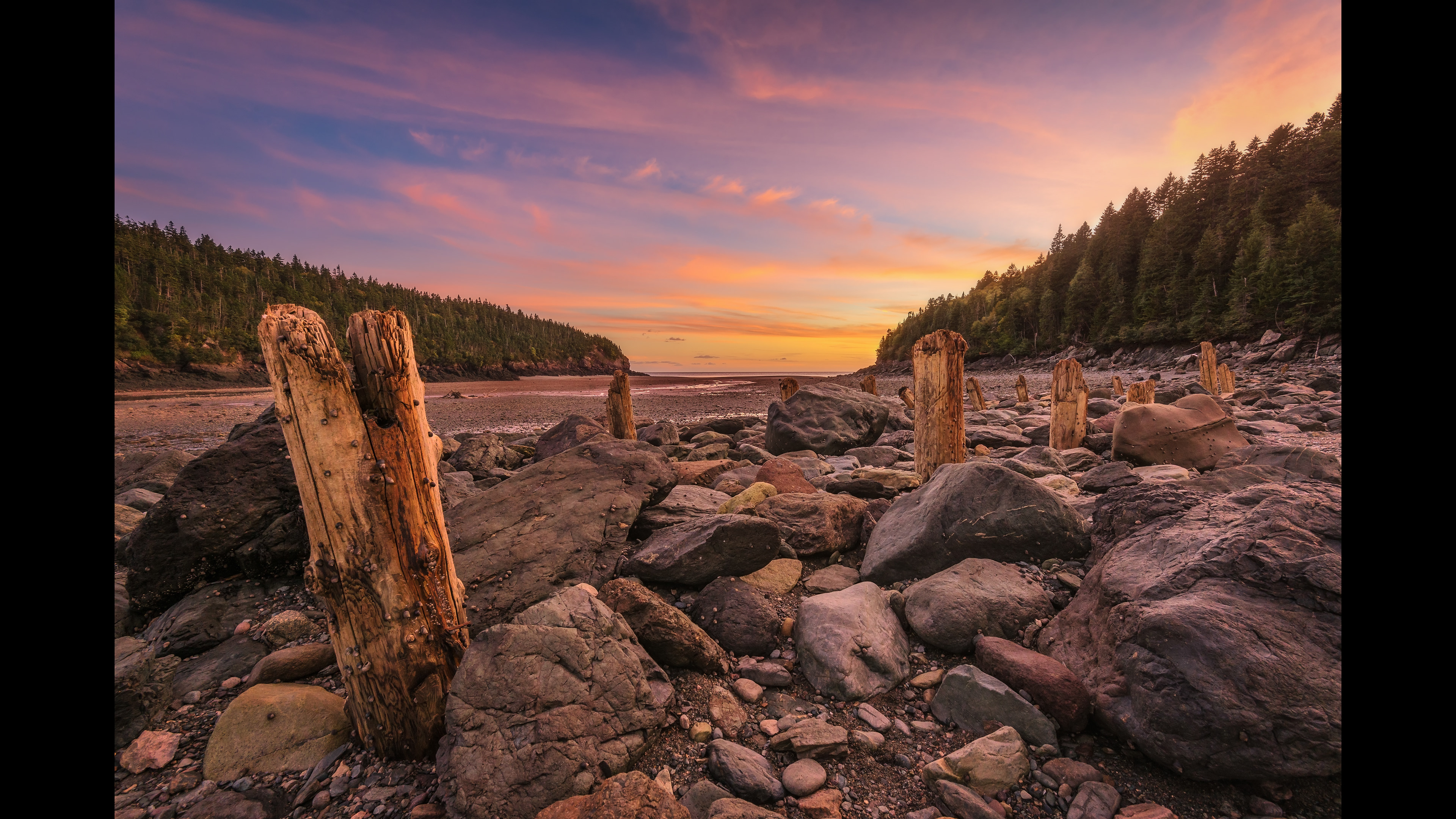 My photo "Time and Tides" of old pilings at low tide in the Bay of Fundy scored accepted in the 2018 PPOC National Image Competition.