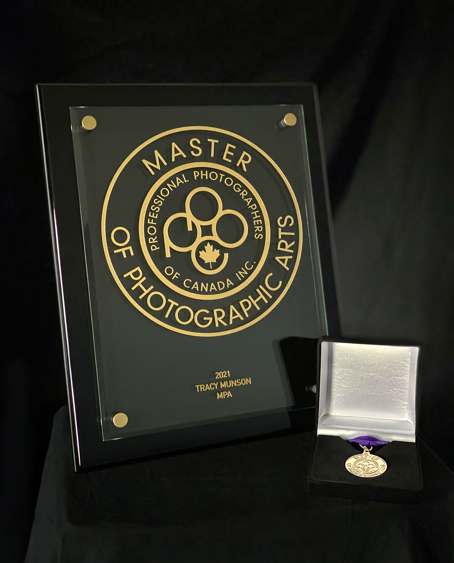 Master of Photographic Arts