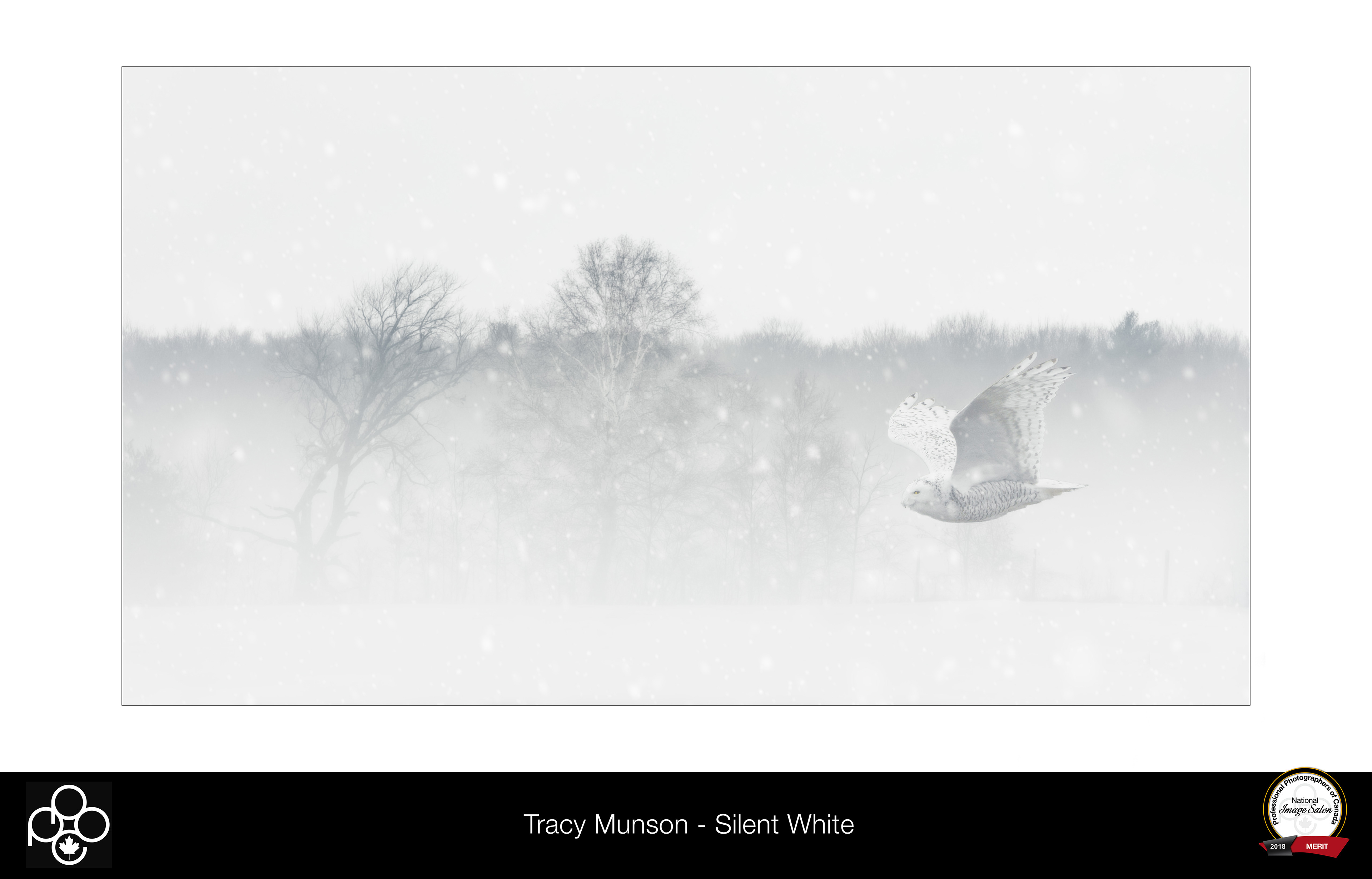A snowy owl gliding silently through a snowstorm
