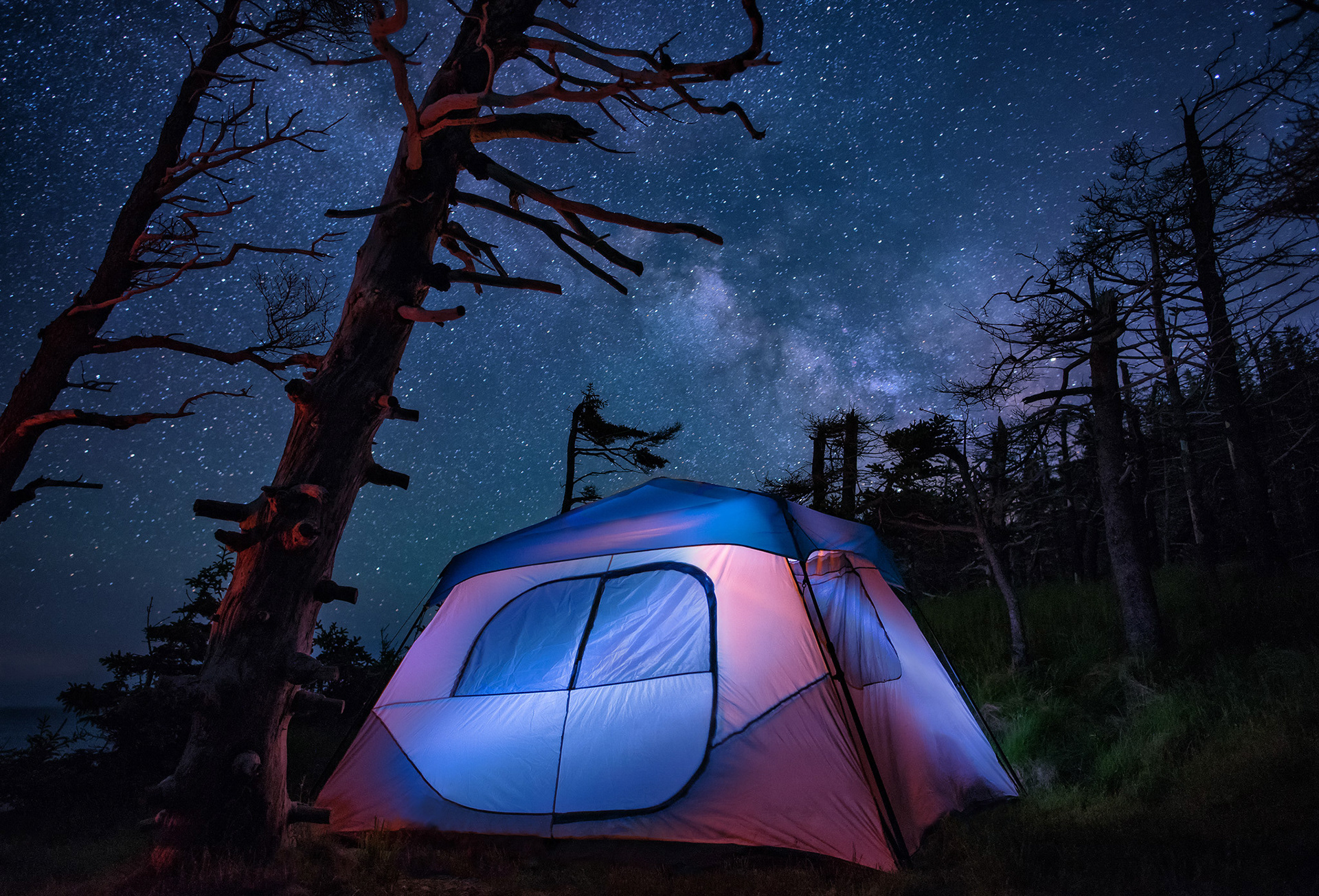 A blue tent, lit from within, under starry skies and surrounded by stunted pines at a cliffside campsite on Grand Manan Island, NB