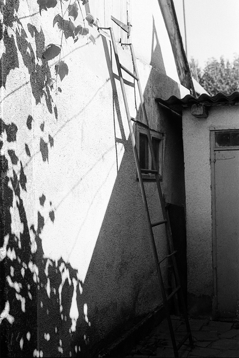 Hanna's grandma yard