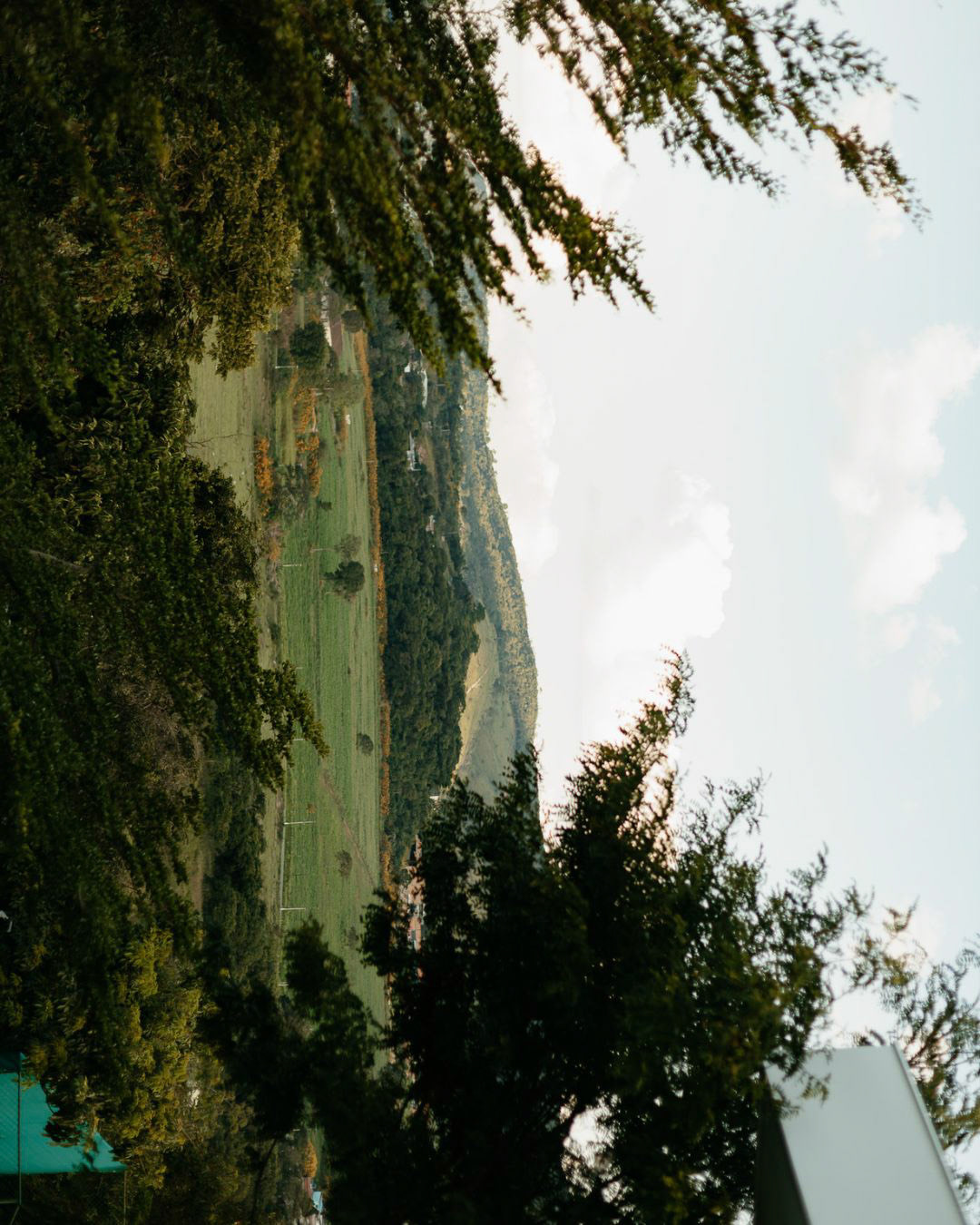 Cópia de Dia da mentira (Post para Instagram (retrato)) - 5