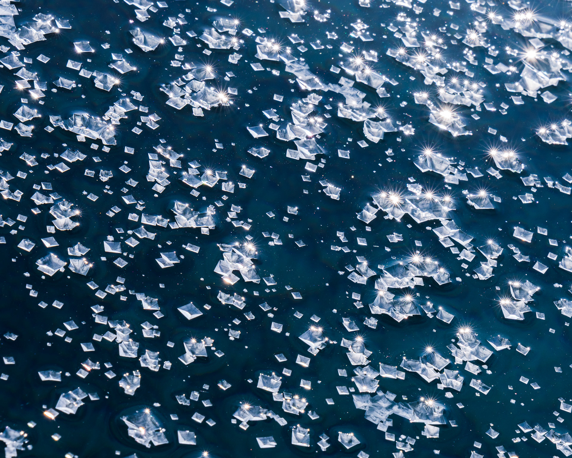 Salt crystals floating in brine