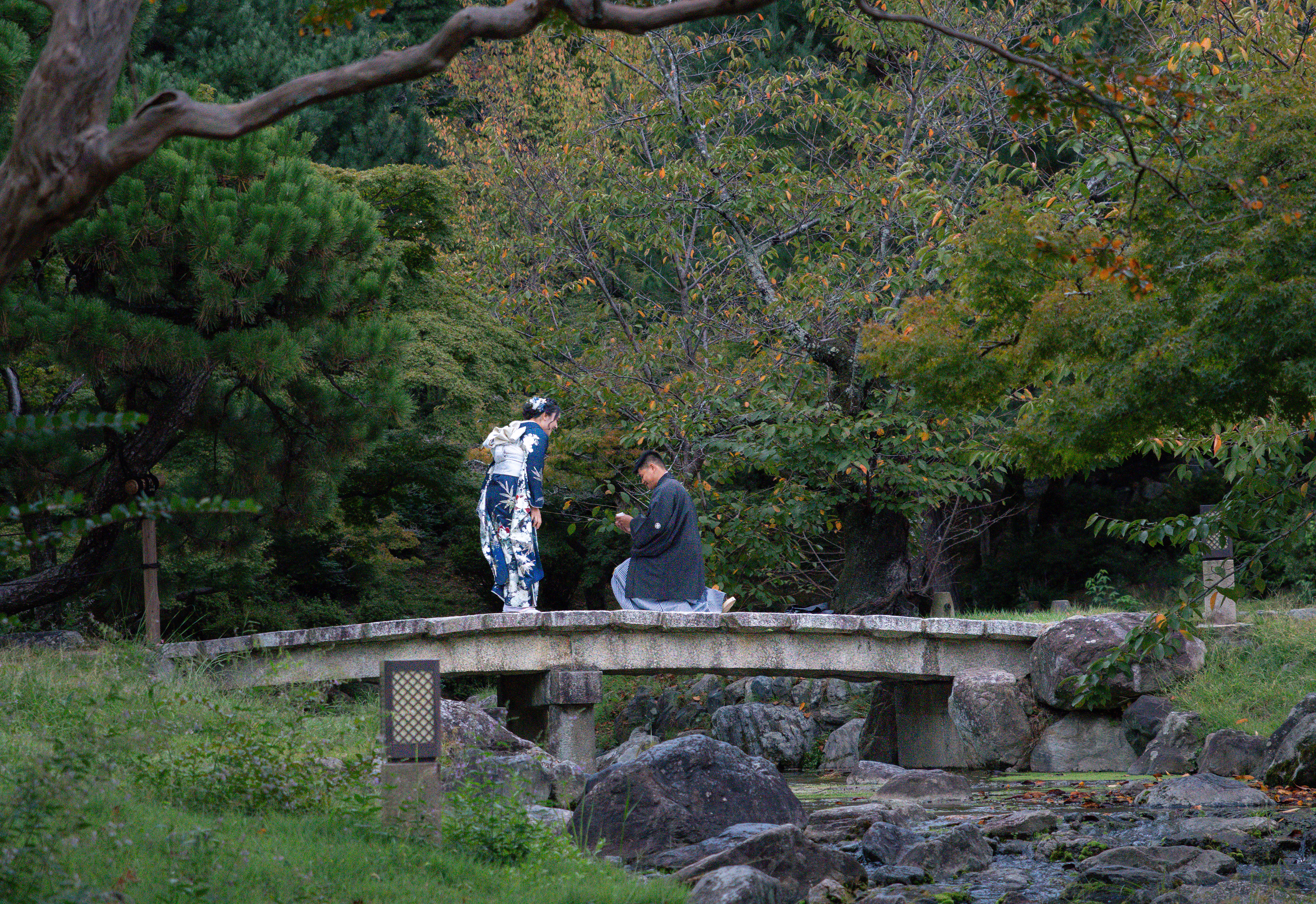 under Kyoto's quite skies