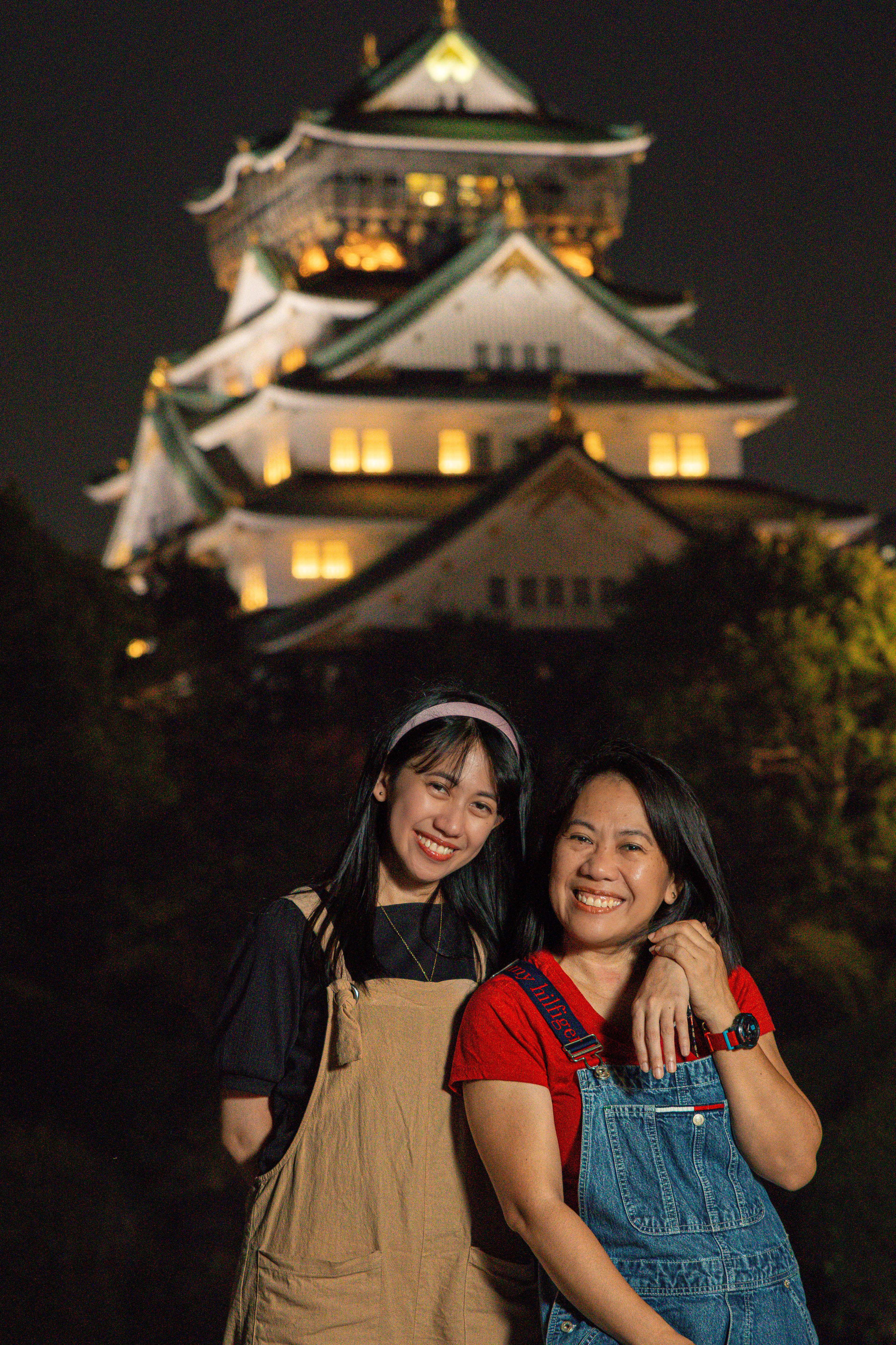 Osaka Castle at night