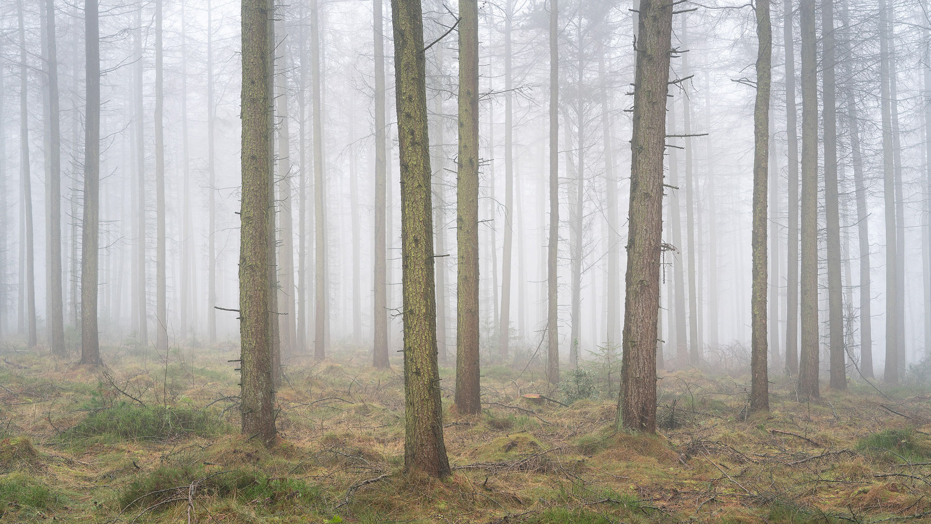 December - Timble Ings