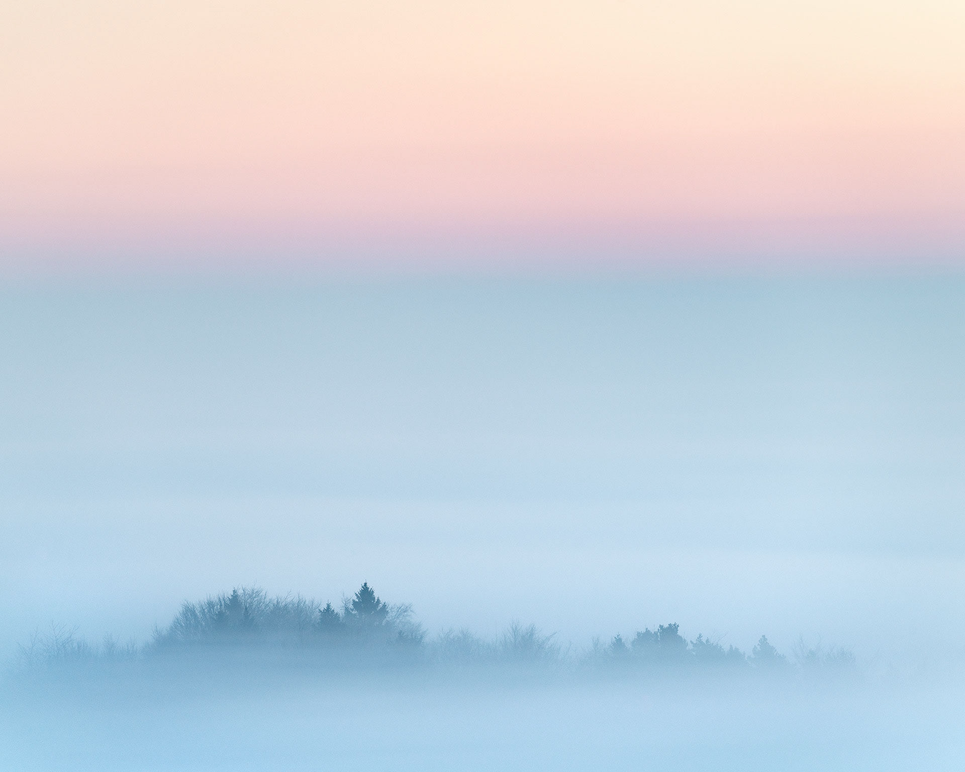 January - Rigton Moor