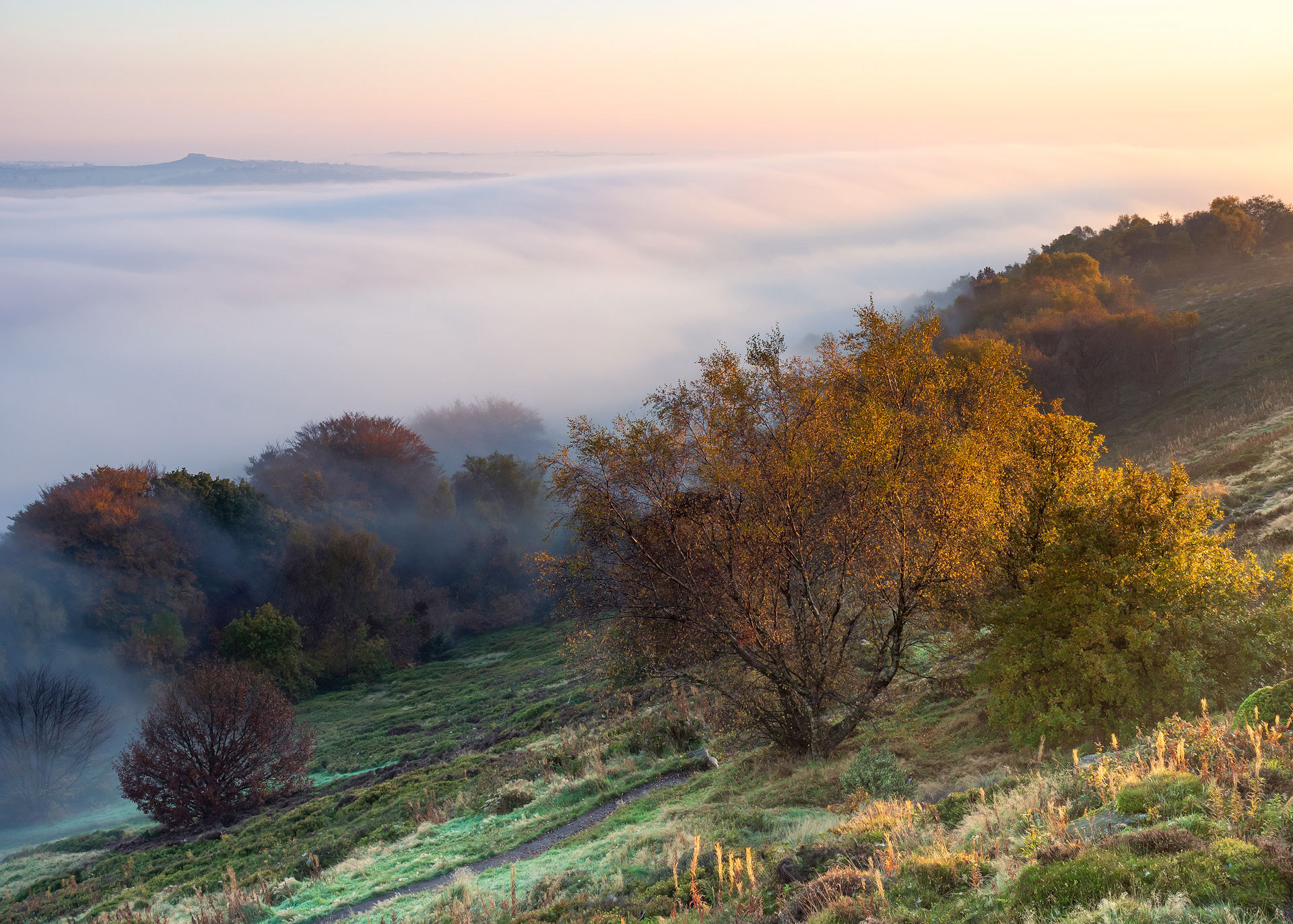 November - Surprise View