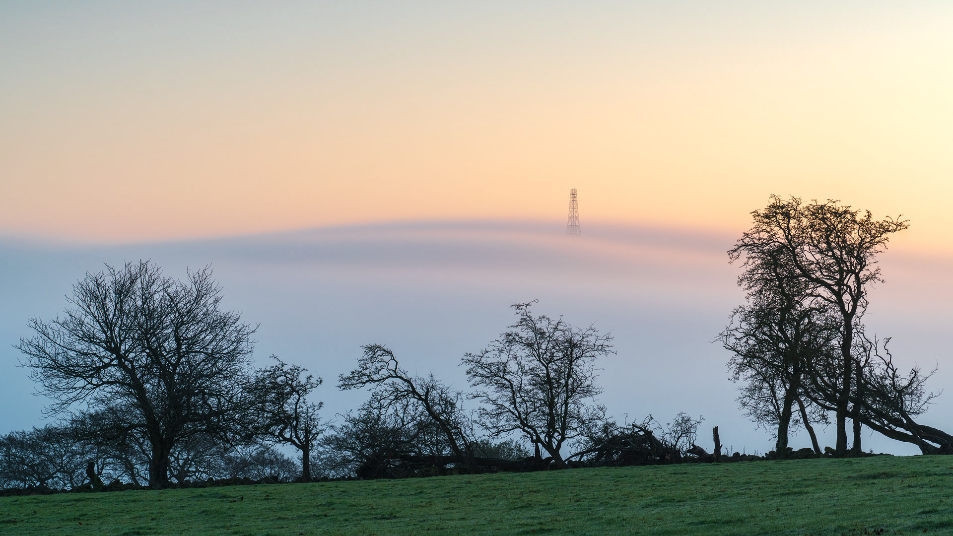 December - Norwood Edge