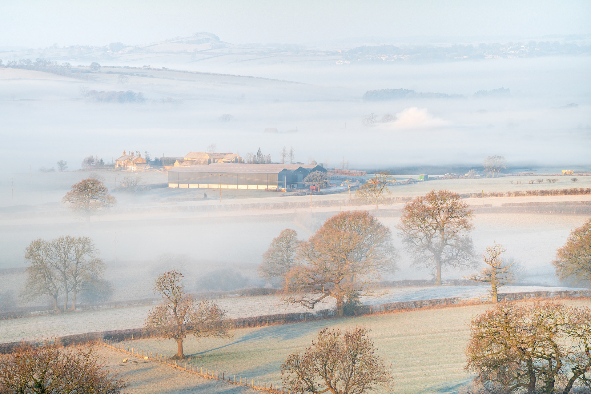 January - Chapel Hill