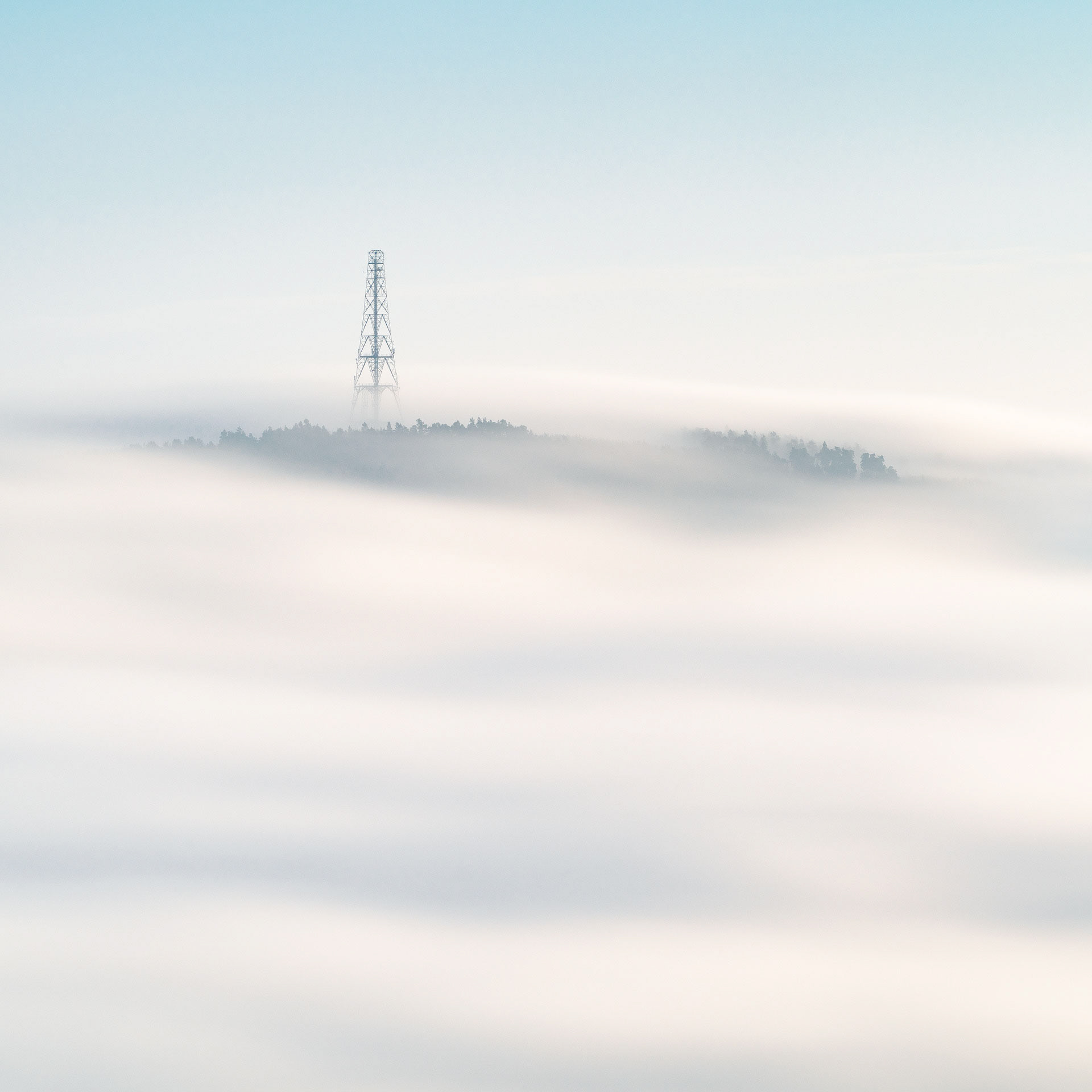 November - Norwood Edge