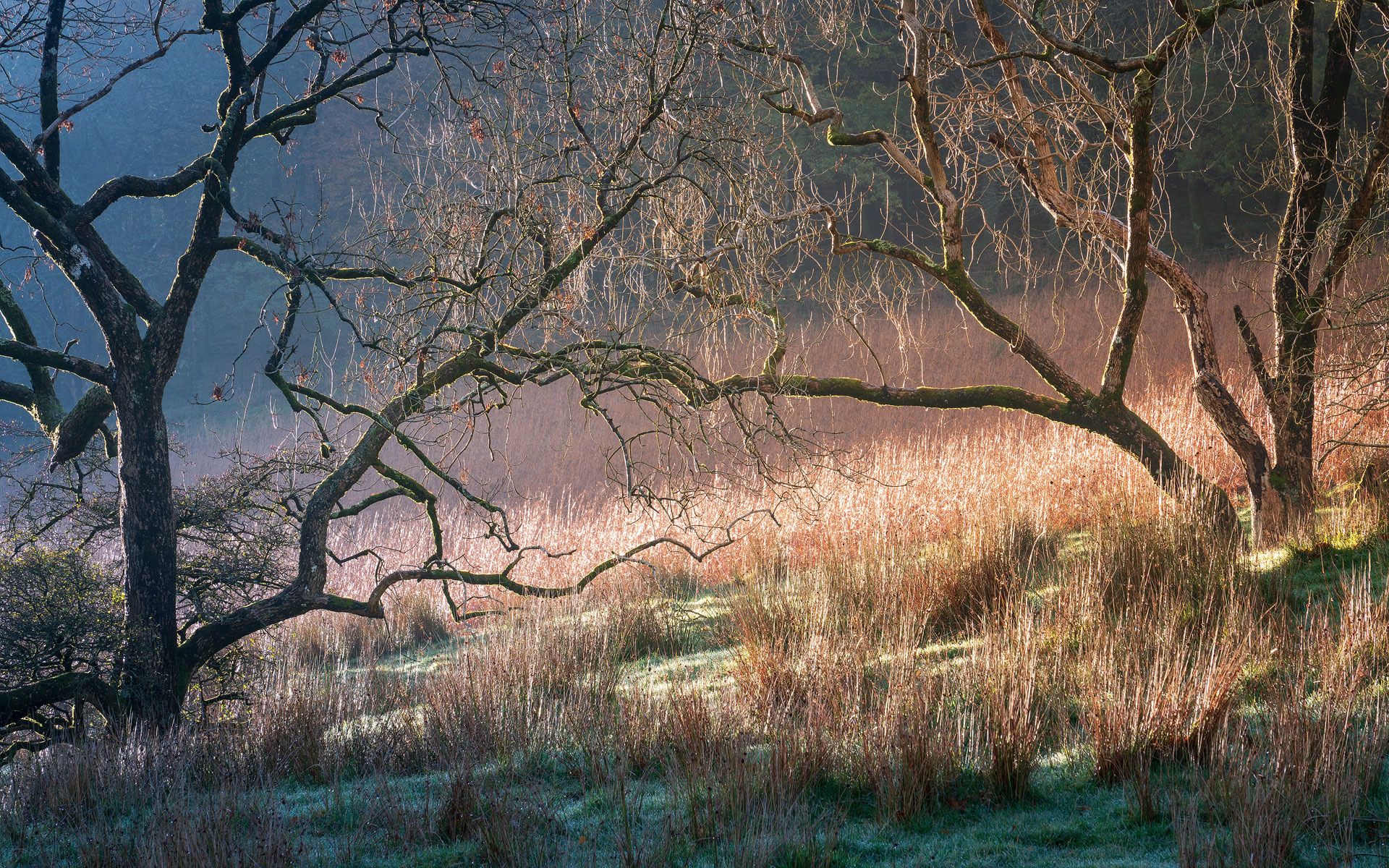November - Loweswater