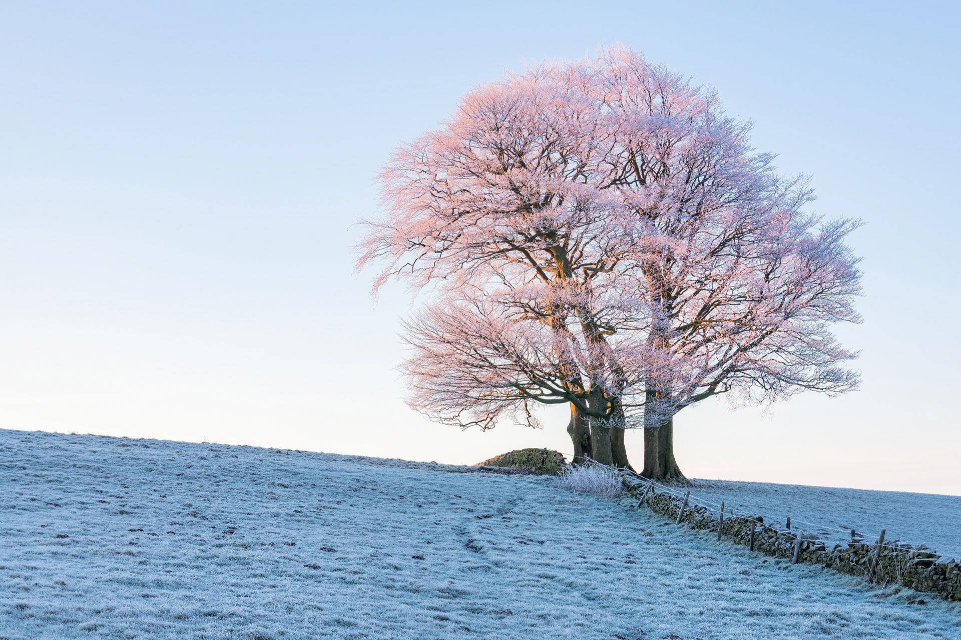January - Guiseley Moor