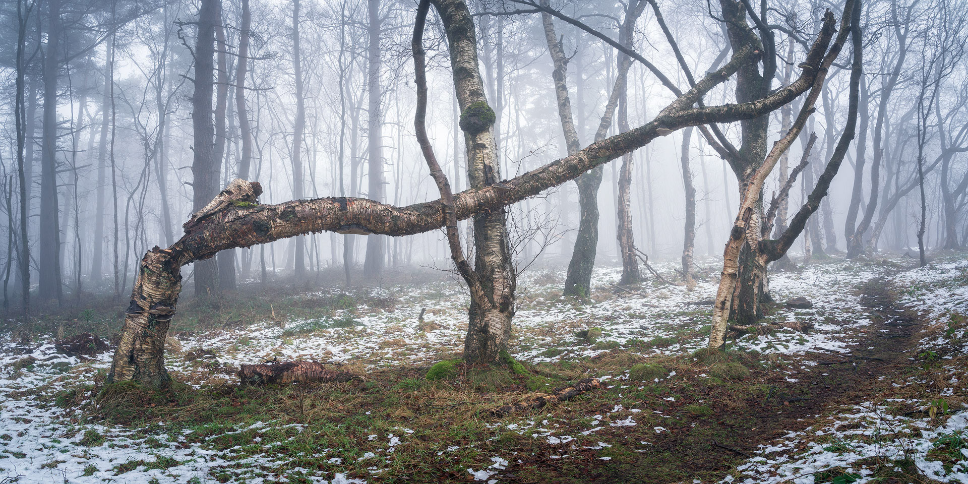 December - Timble Ings