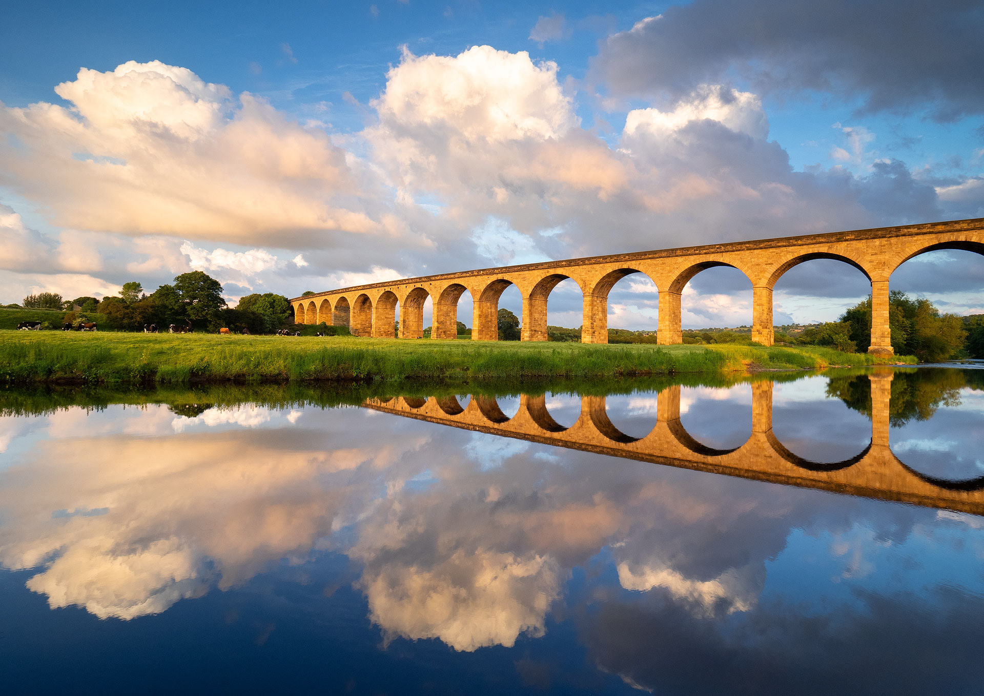 June - Arthington Viaduct