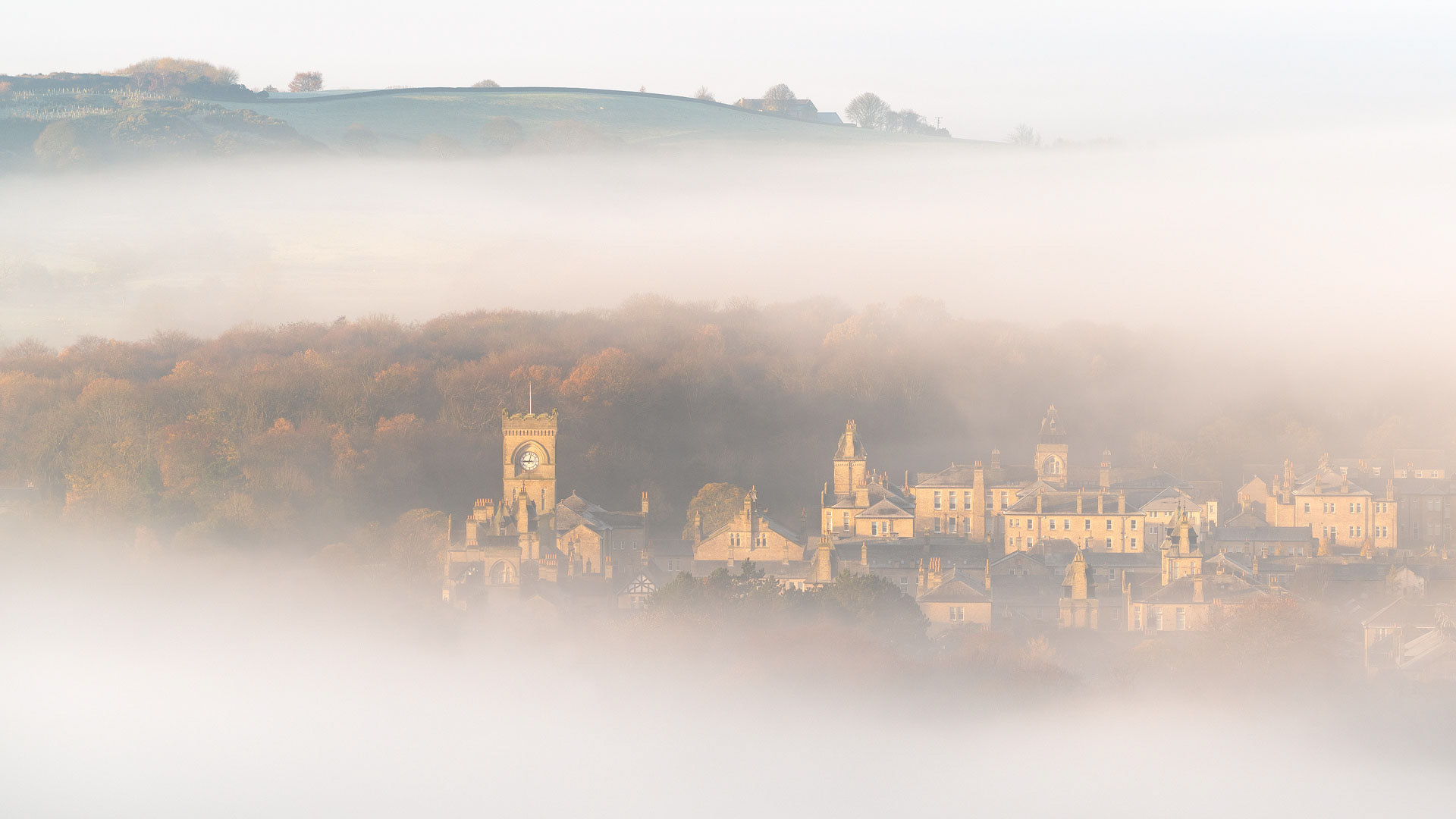 November - High Royds