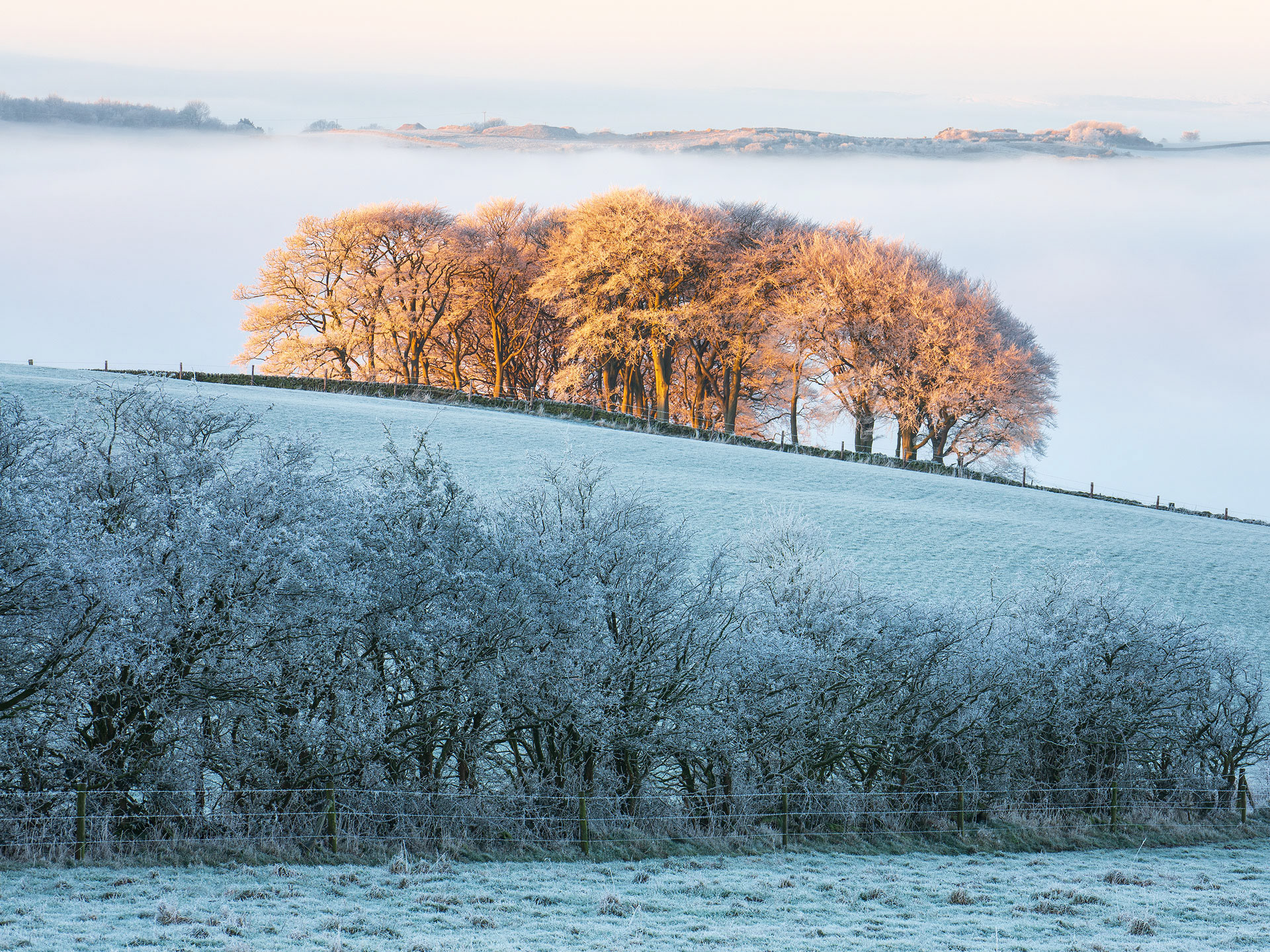 January - Guiseley Moor