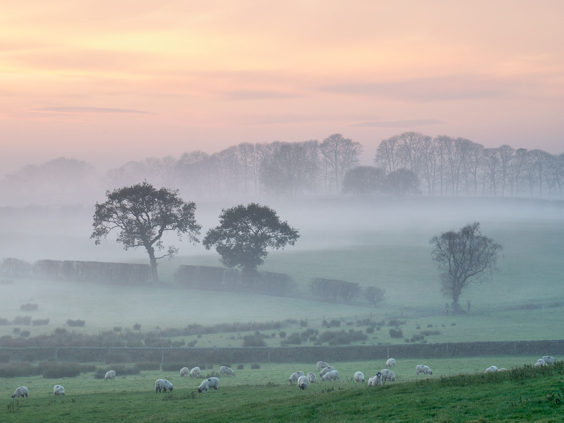 Old Bramhope