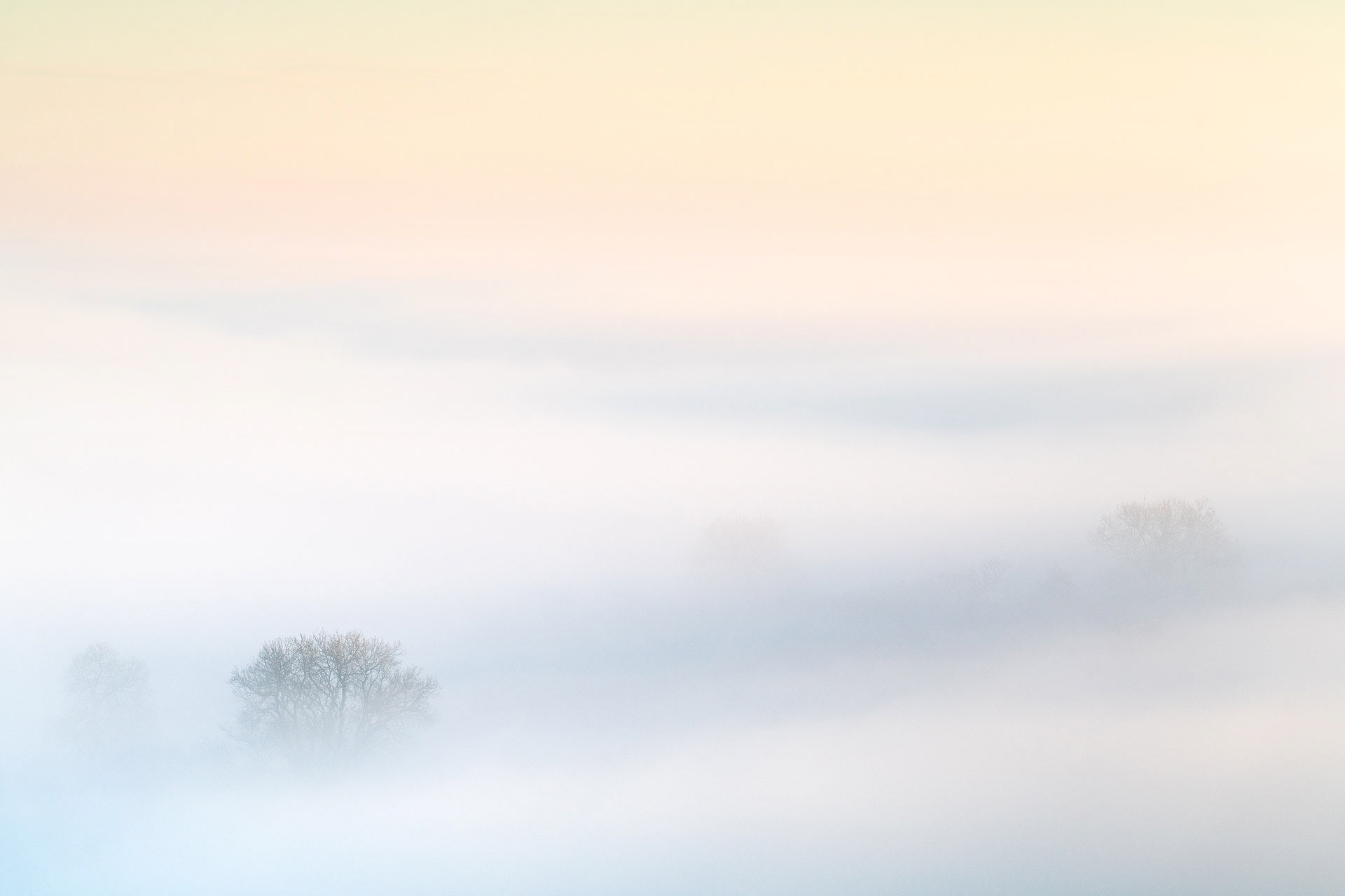 January - Rigton Moor